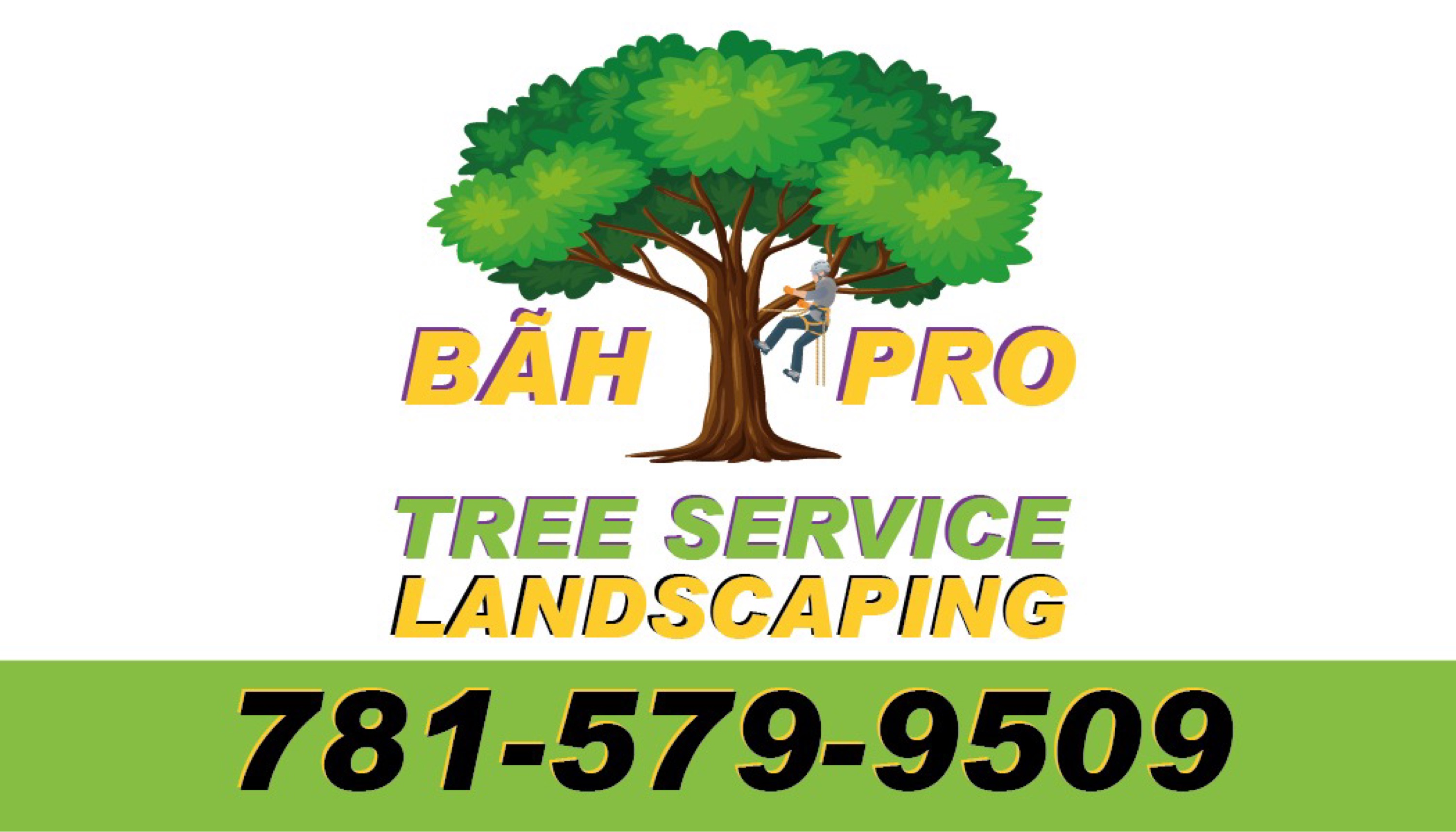 BAH Pro Tree Service Logo