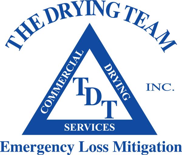 The Drying Team, Inc. Logo