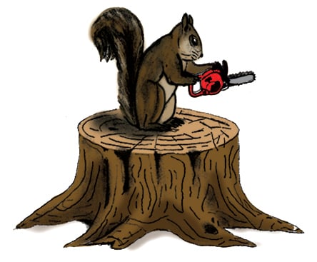 Tree Squirrel Tree & Lawn Care, LLC Logo