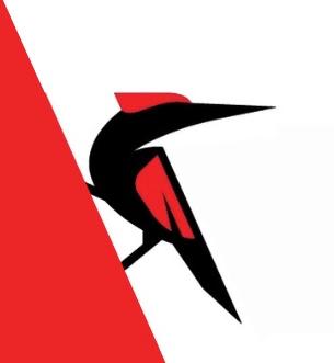 South Builders Inc Logo
