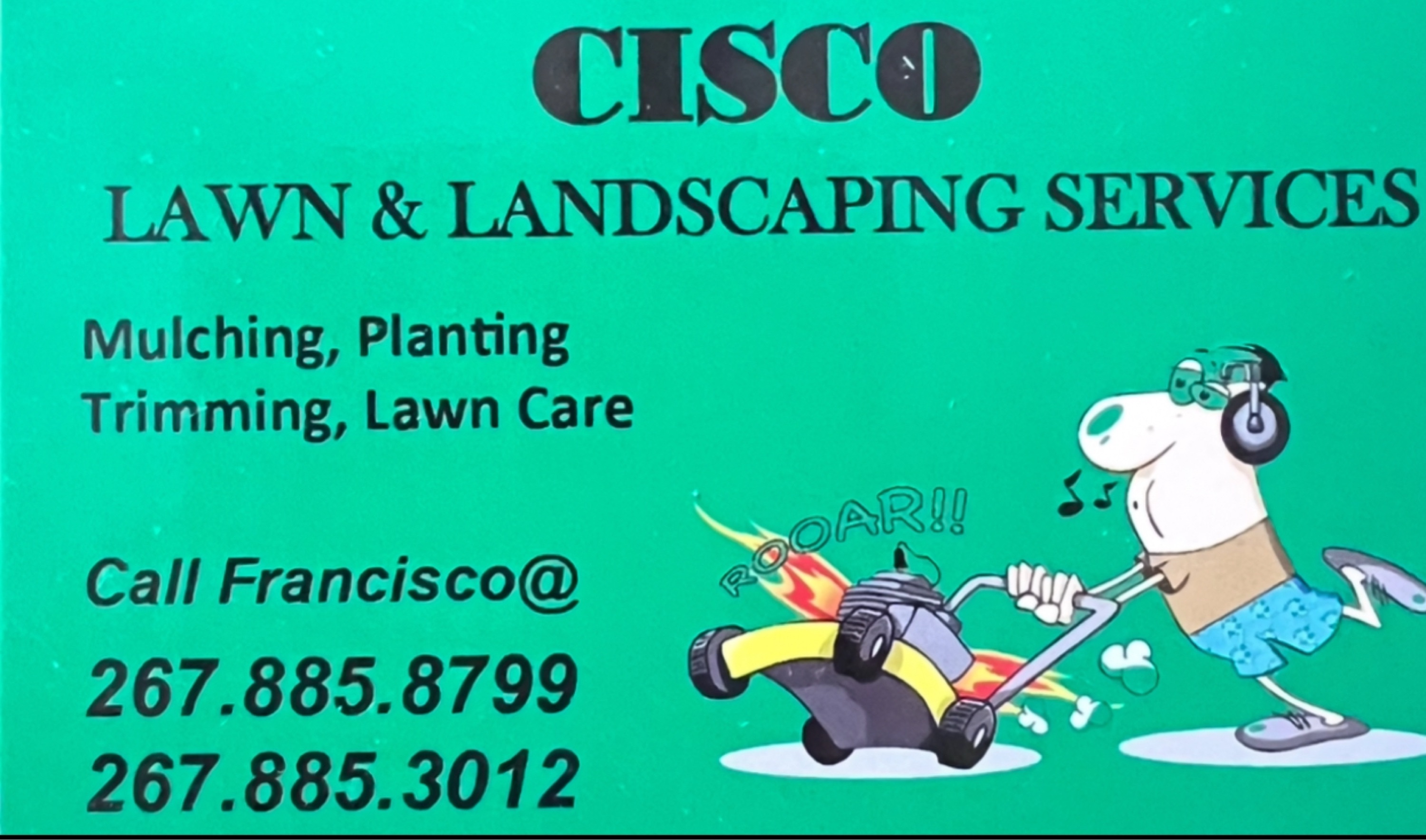 CISCO LAWN & LANDSCAPING SERVICE INC Logo