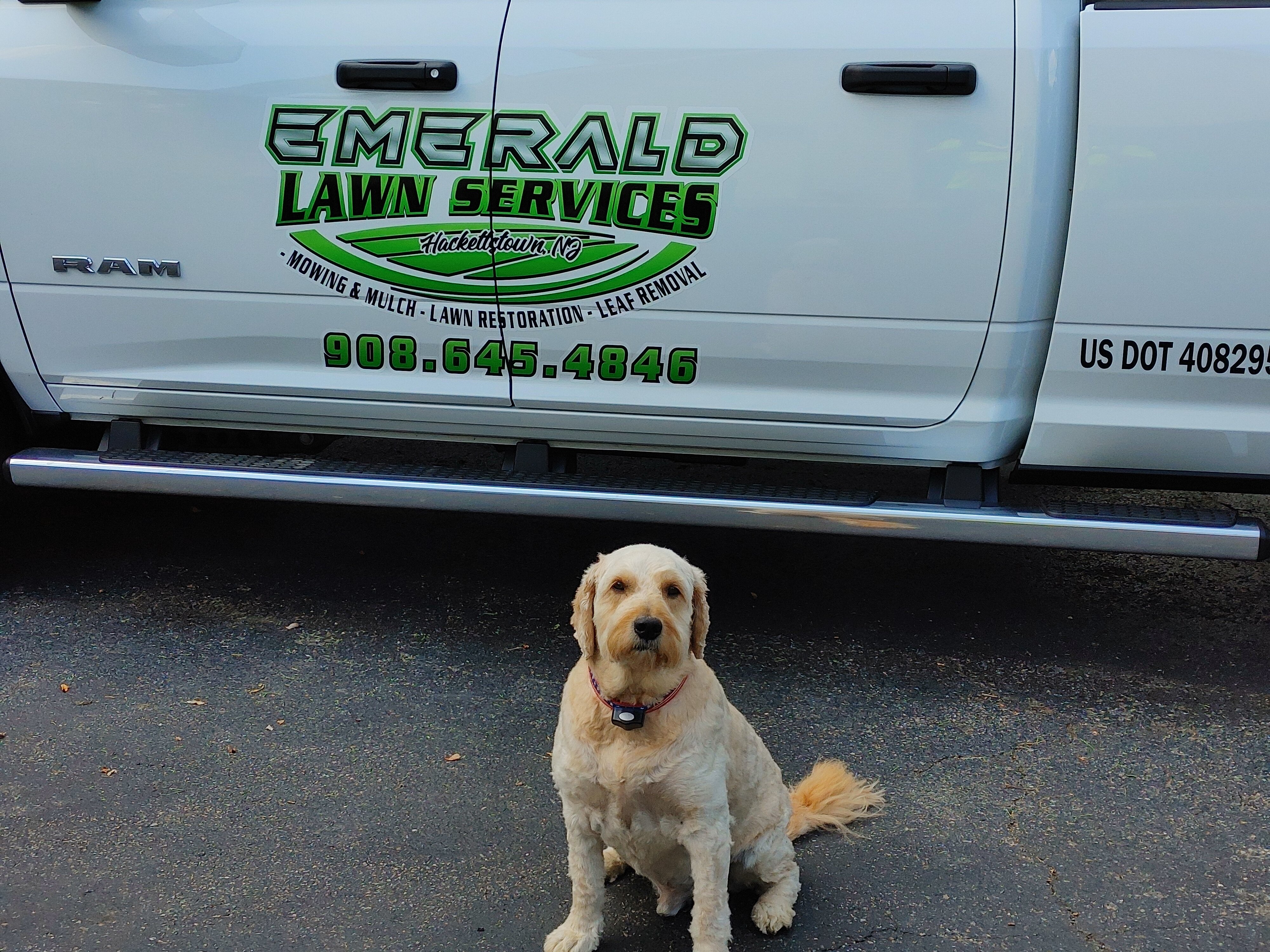 Emerald Lawn Services Logo