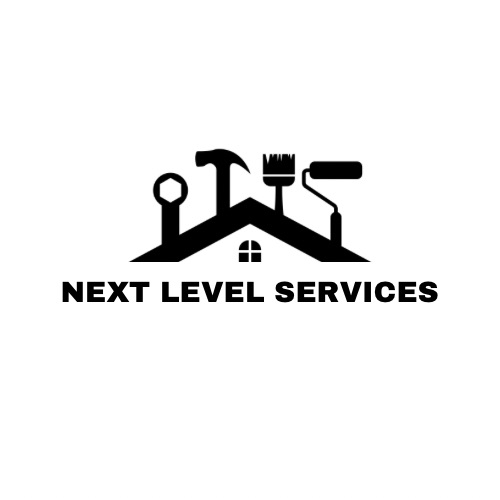 Next Level Services Logo