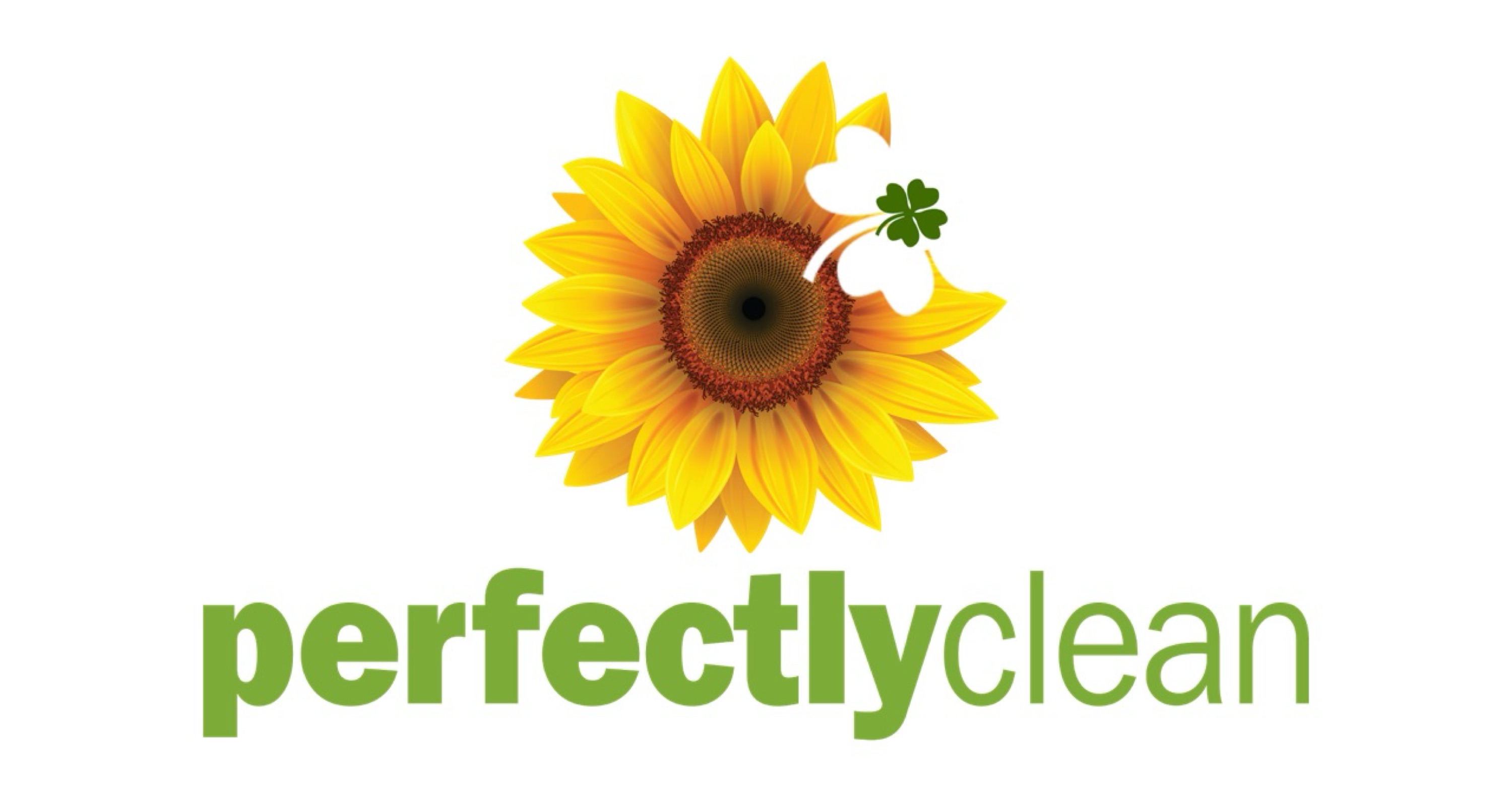 Perfectly Clean Logo