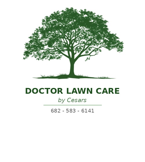 Doctor Lawn Care Logo