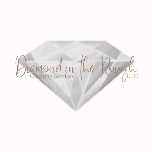 DIAMOND IN THE ROUGH LLC Logo