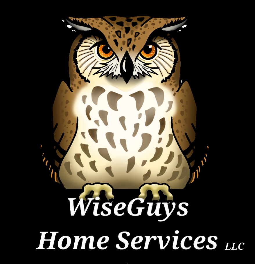 Wise Guys Home Services, LLC Logo