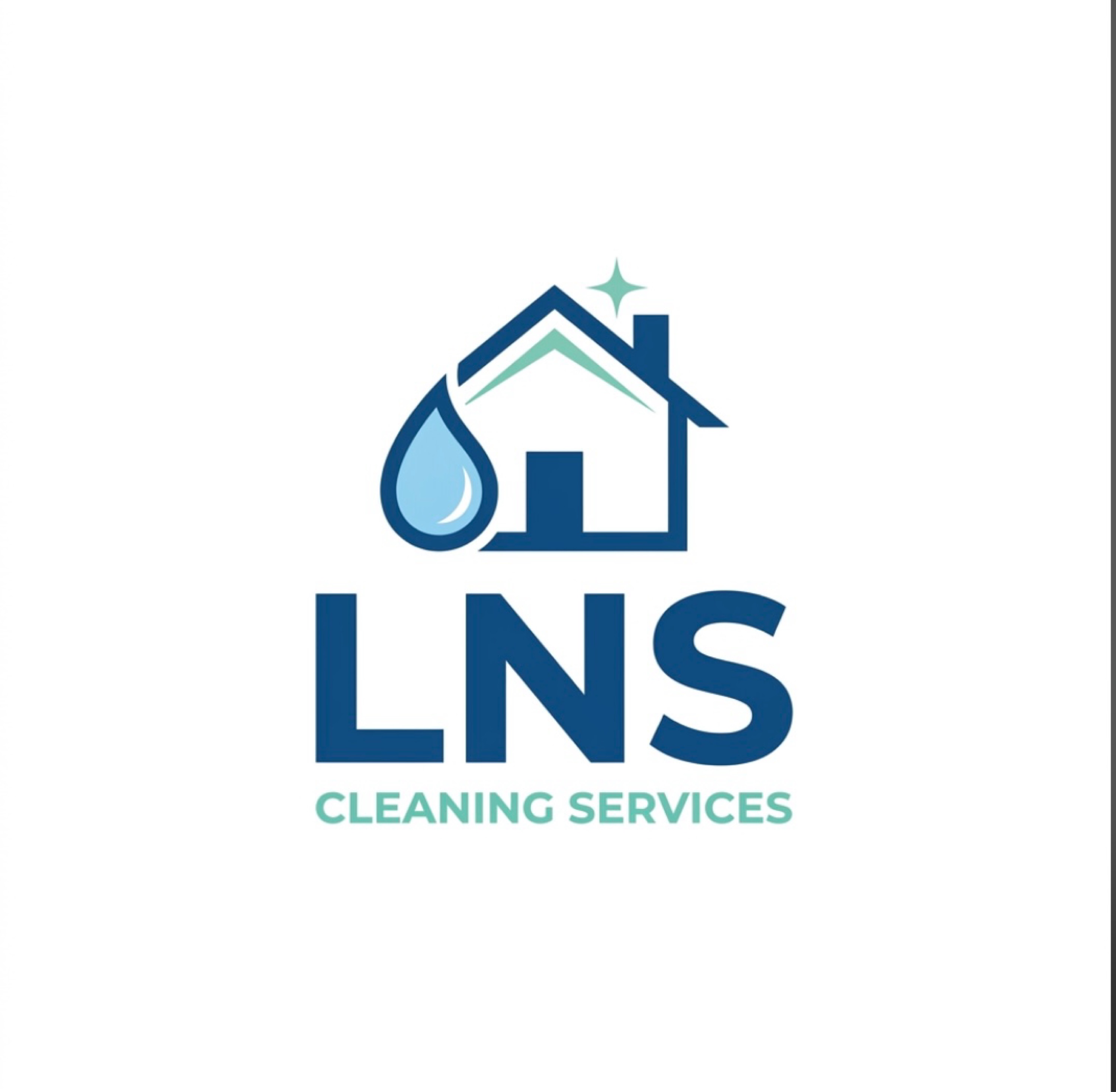LNS Cleaning Services Logo