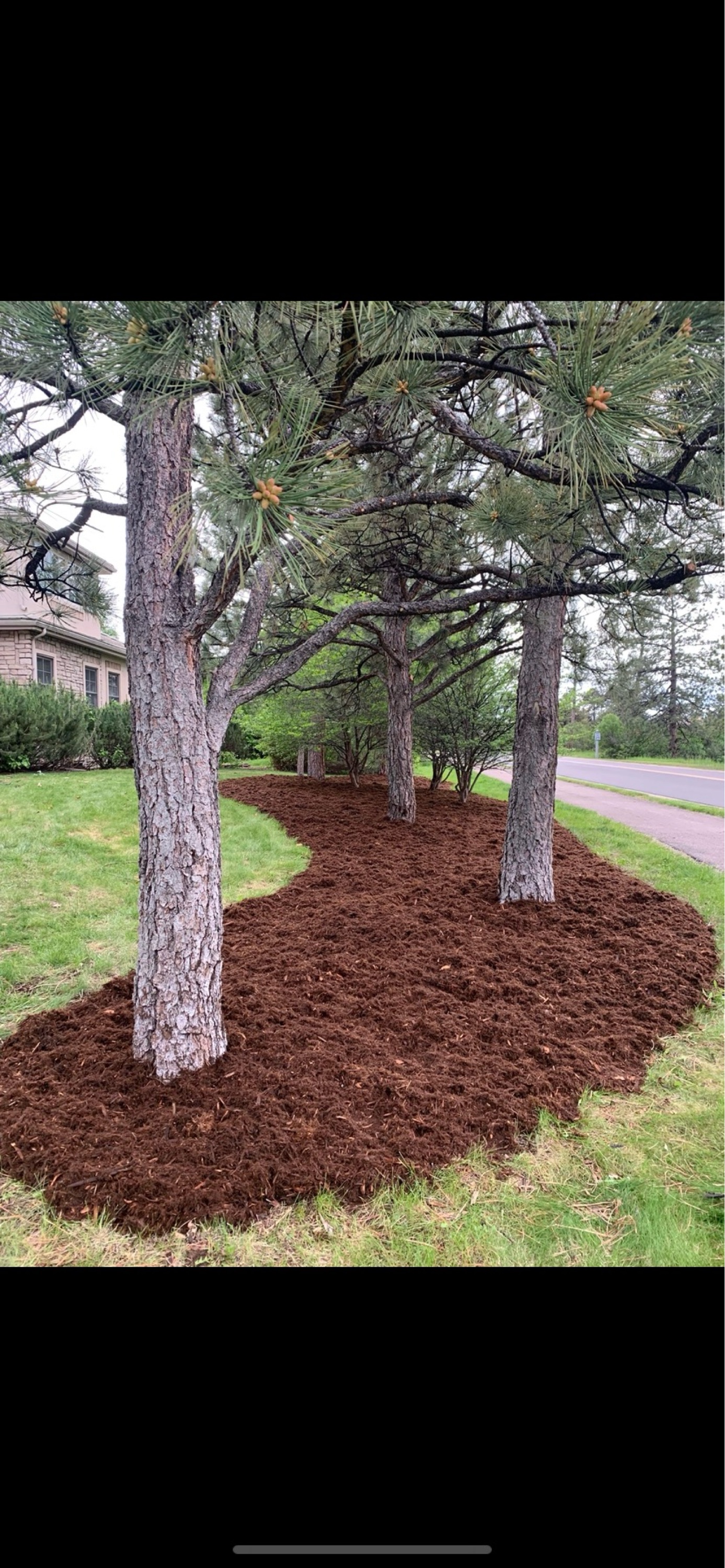 JC Landscaping Logo