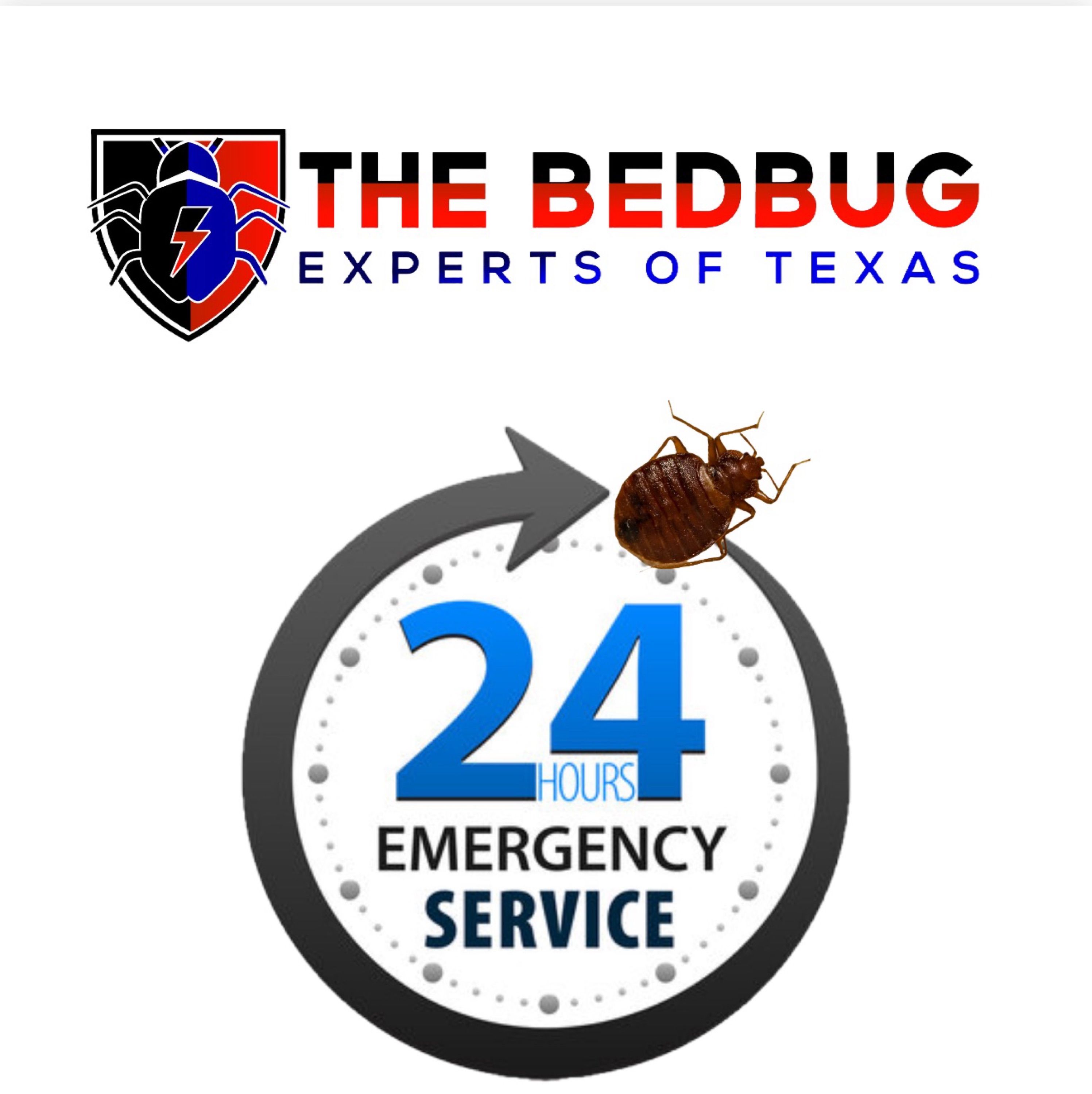 The Bedbug Experts Of Texas Logo