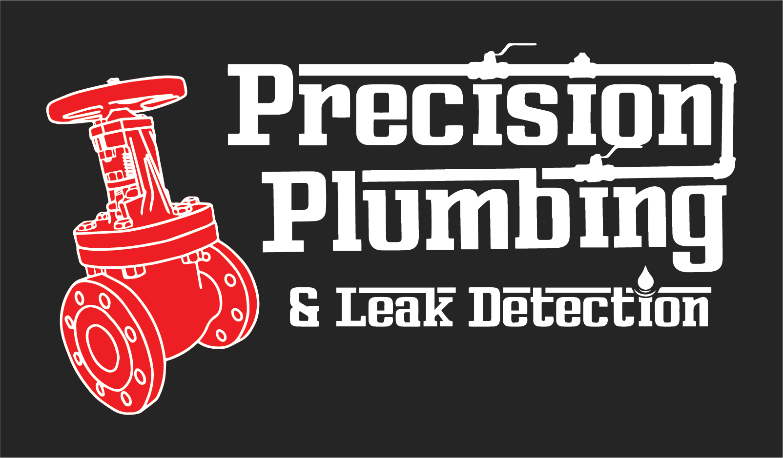 Precision Plumbing & Leak Detection Logo