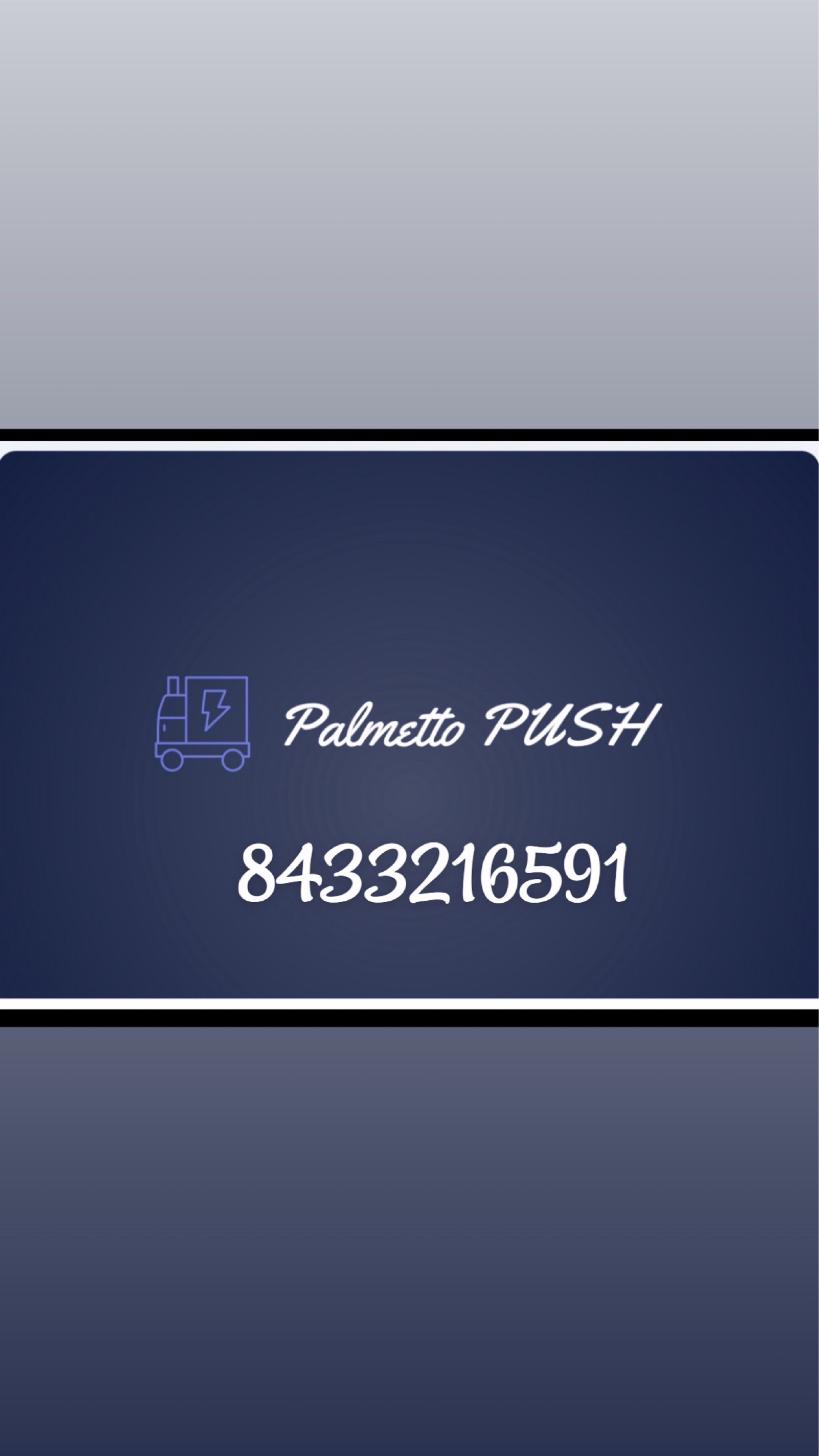 Palmetto Push Logo