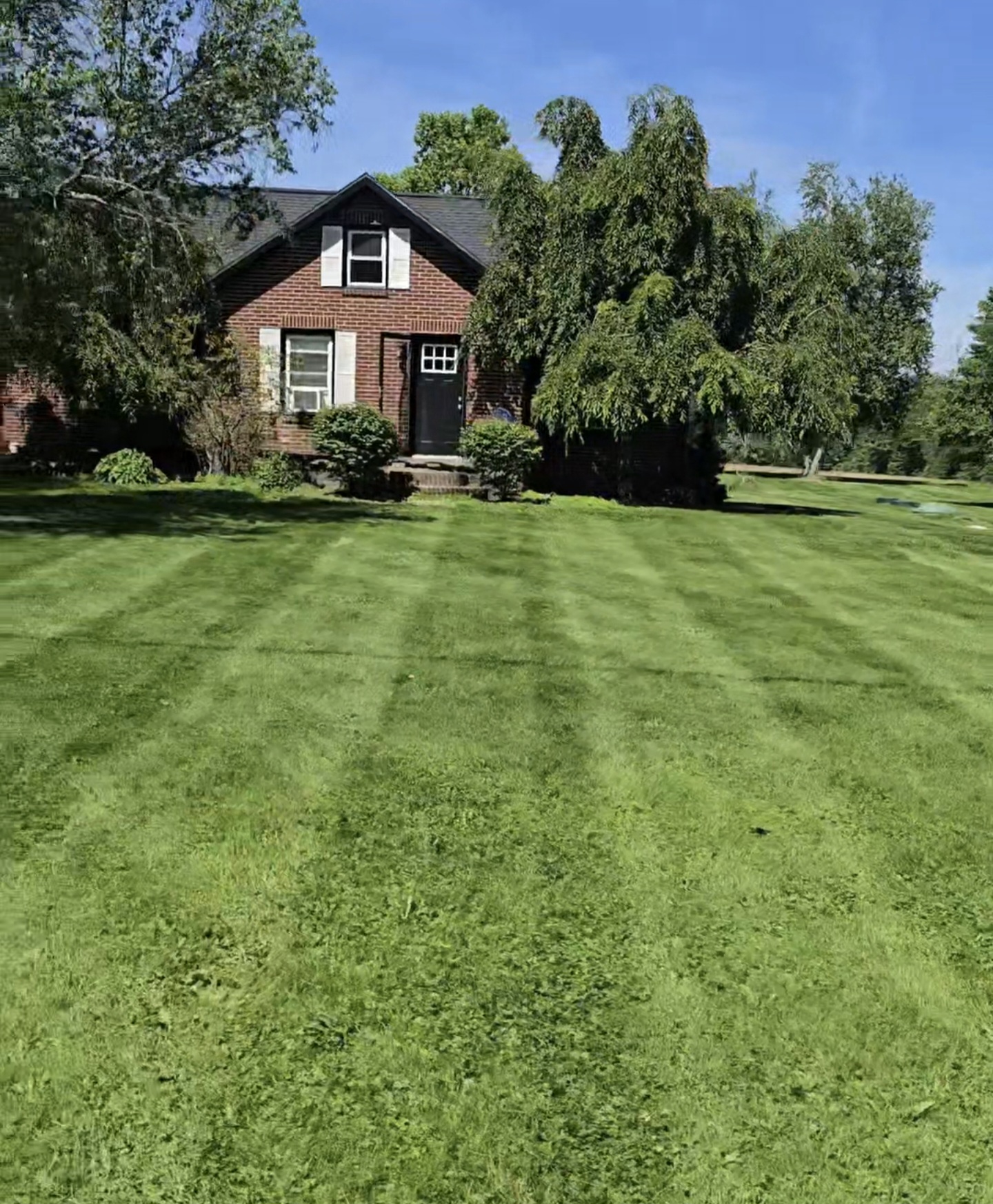 GREENROOTS LAWN SERVICE Logo