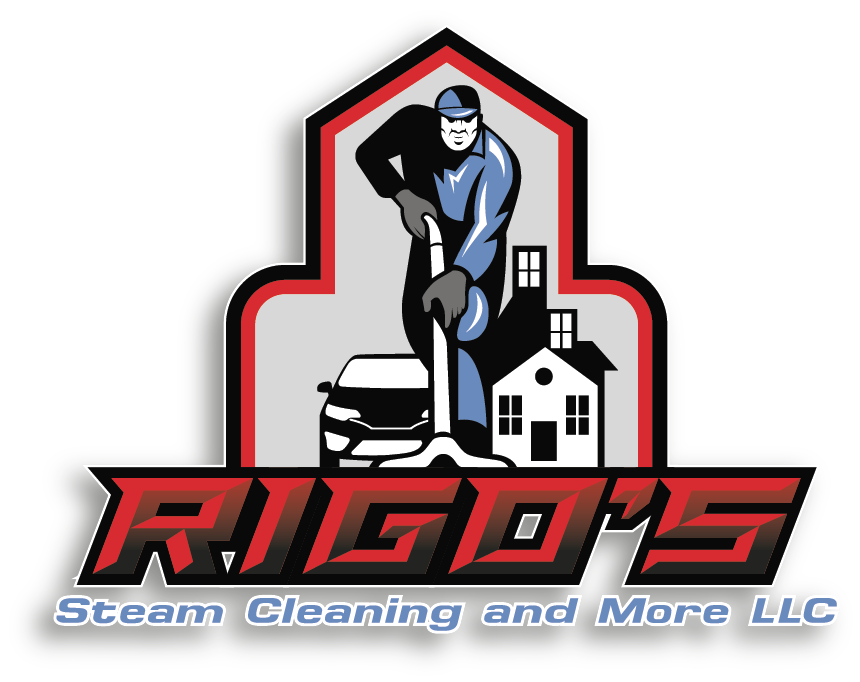 Rigos steam clean and more LLC Logo
