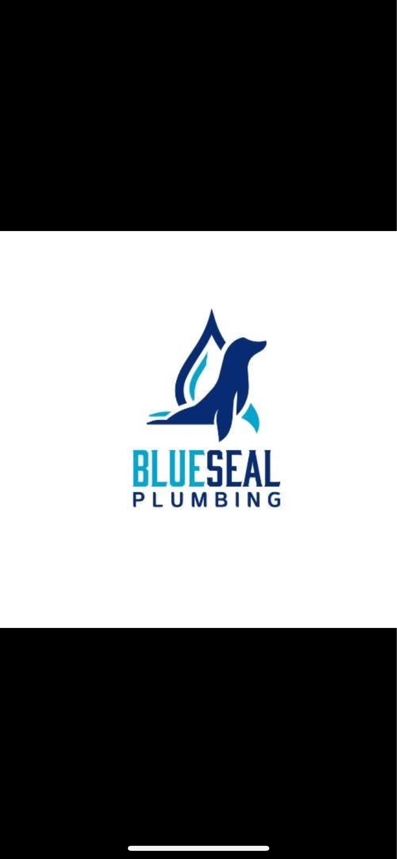 Blue Seal Plumbing Logo