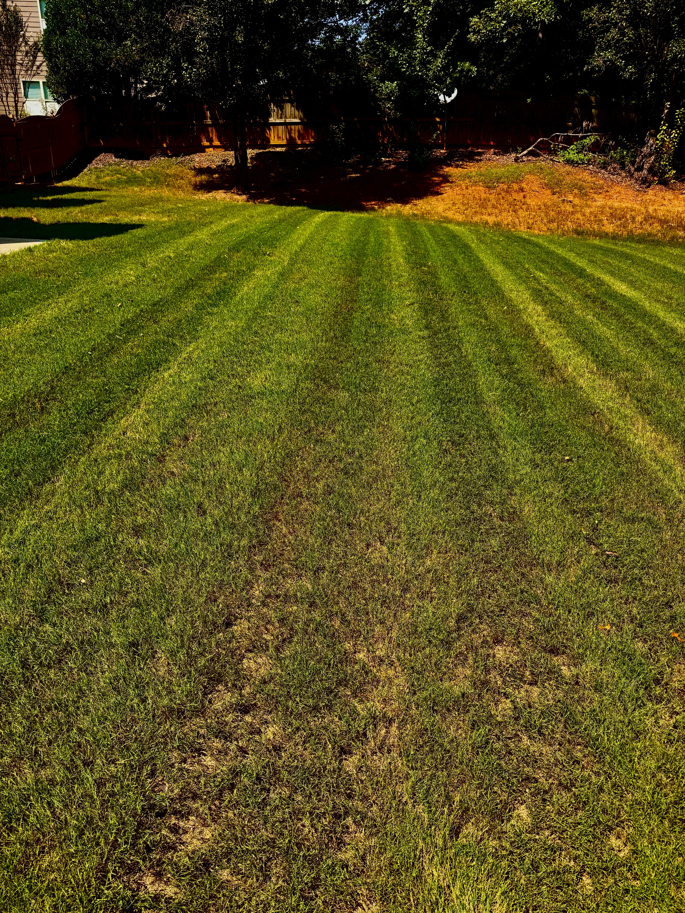 JC Lawn Service Logo