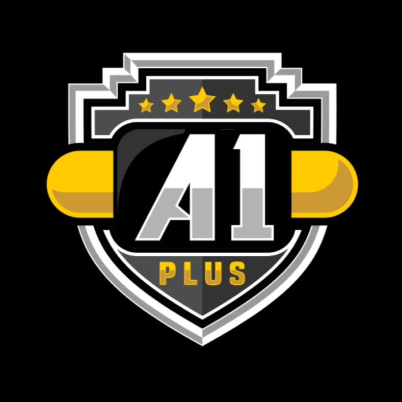 A1 Plus Electrical Houston Logo