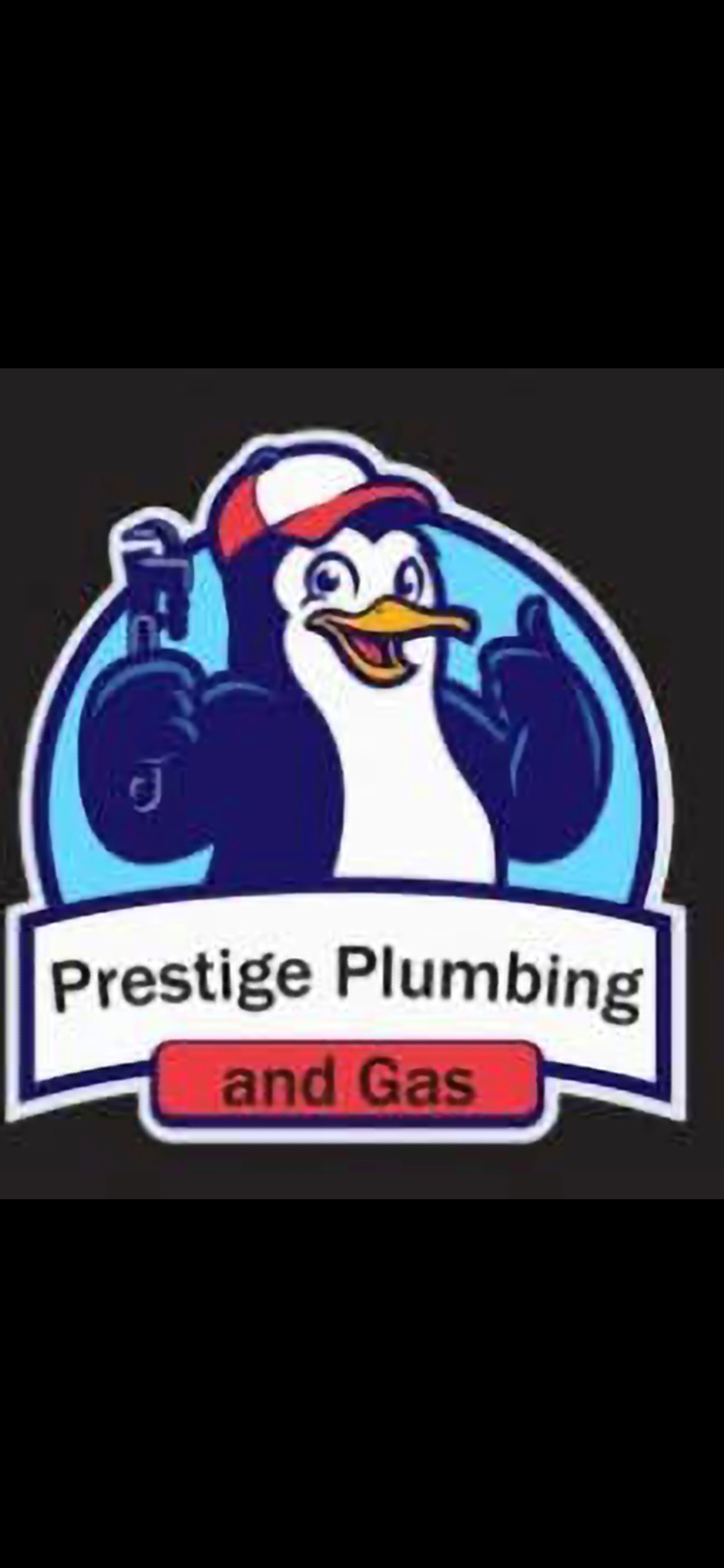 Shawn Grise Logo