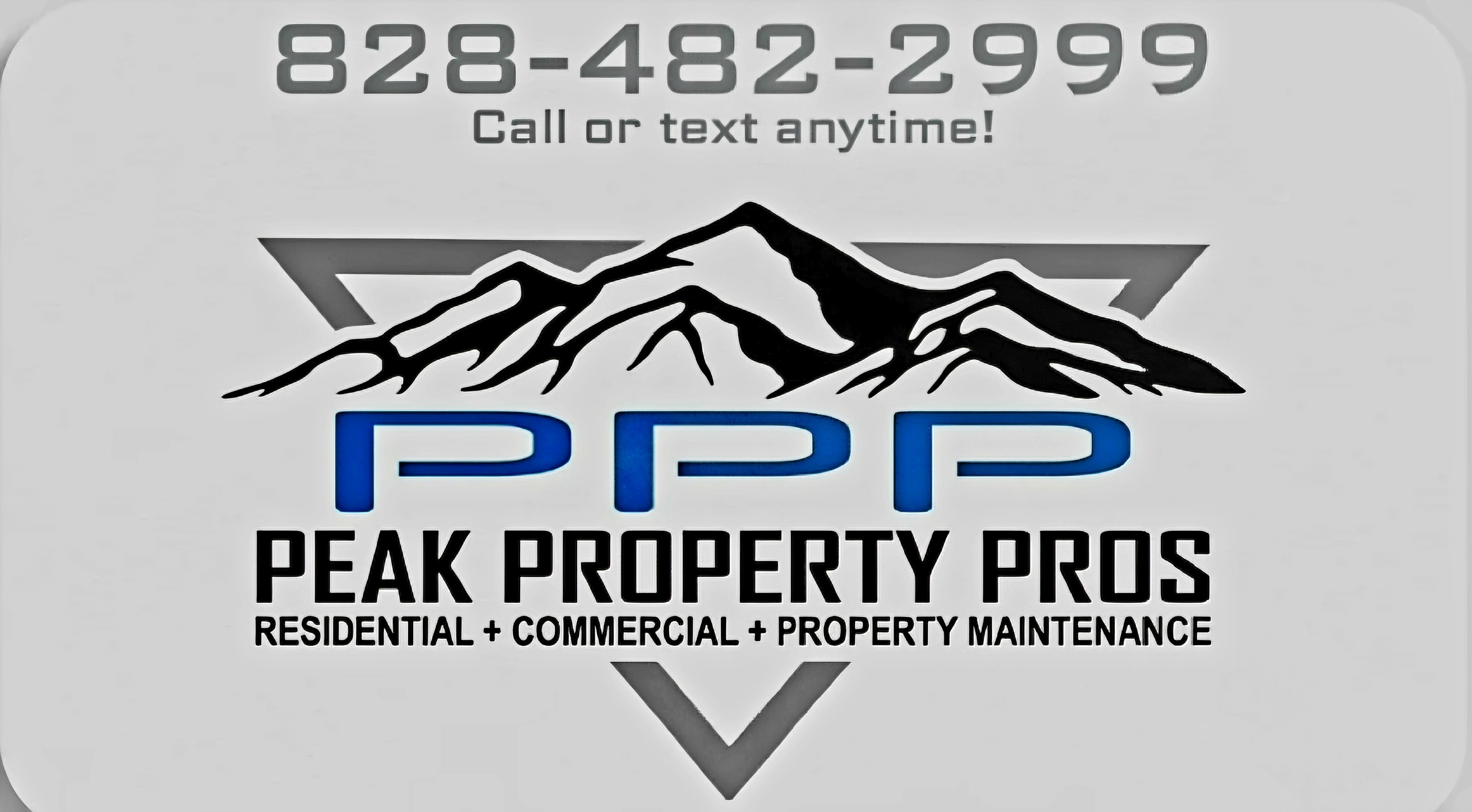 Peak Property Pros Logo