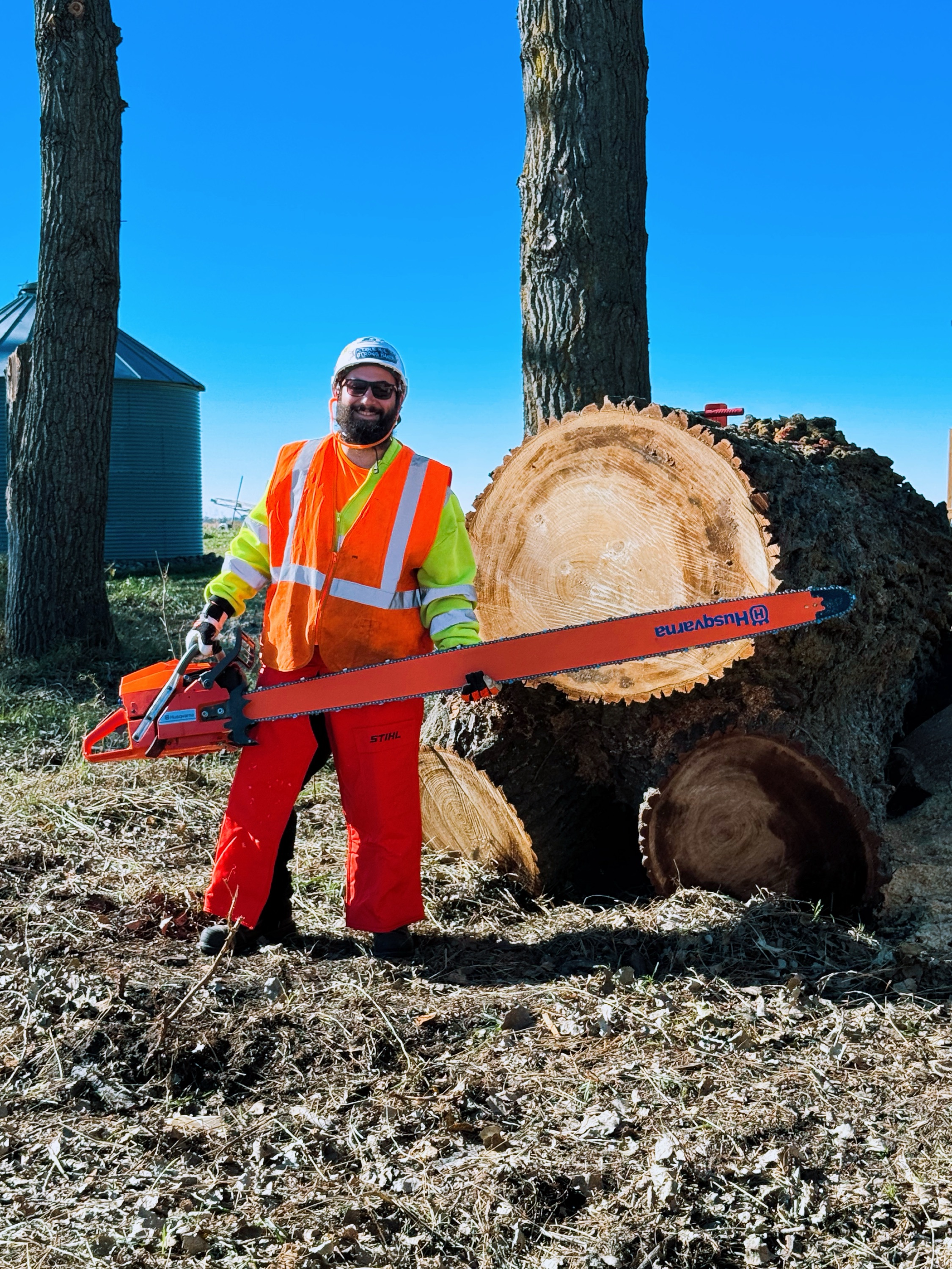 D's Trees & Property Services, LLC Logo