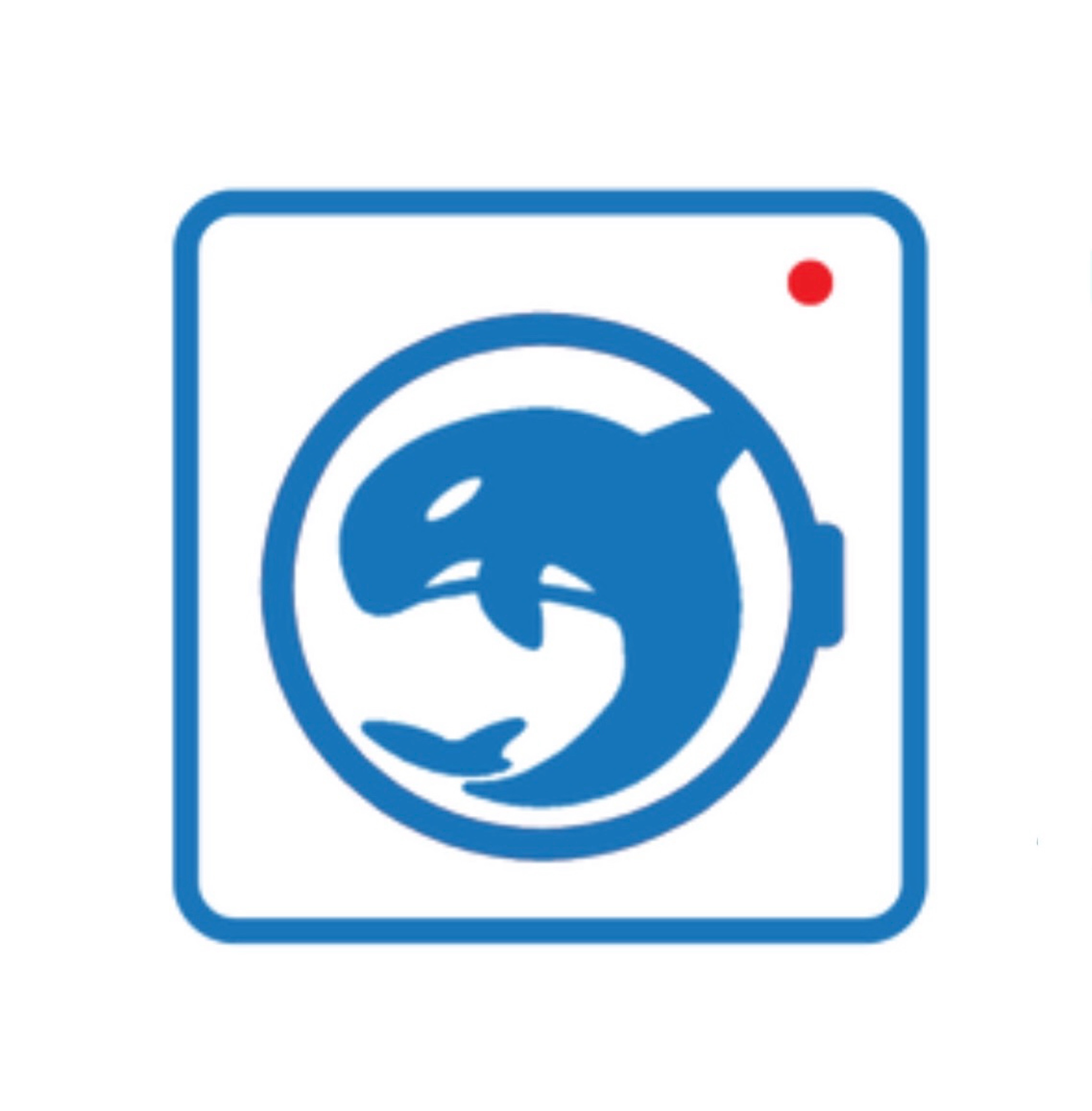 BLUE ORCA REPAIR INC. Logo