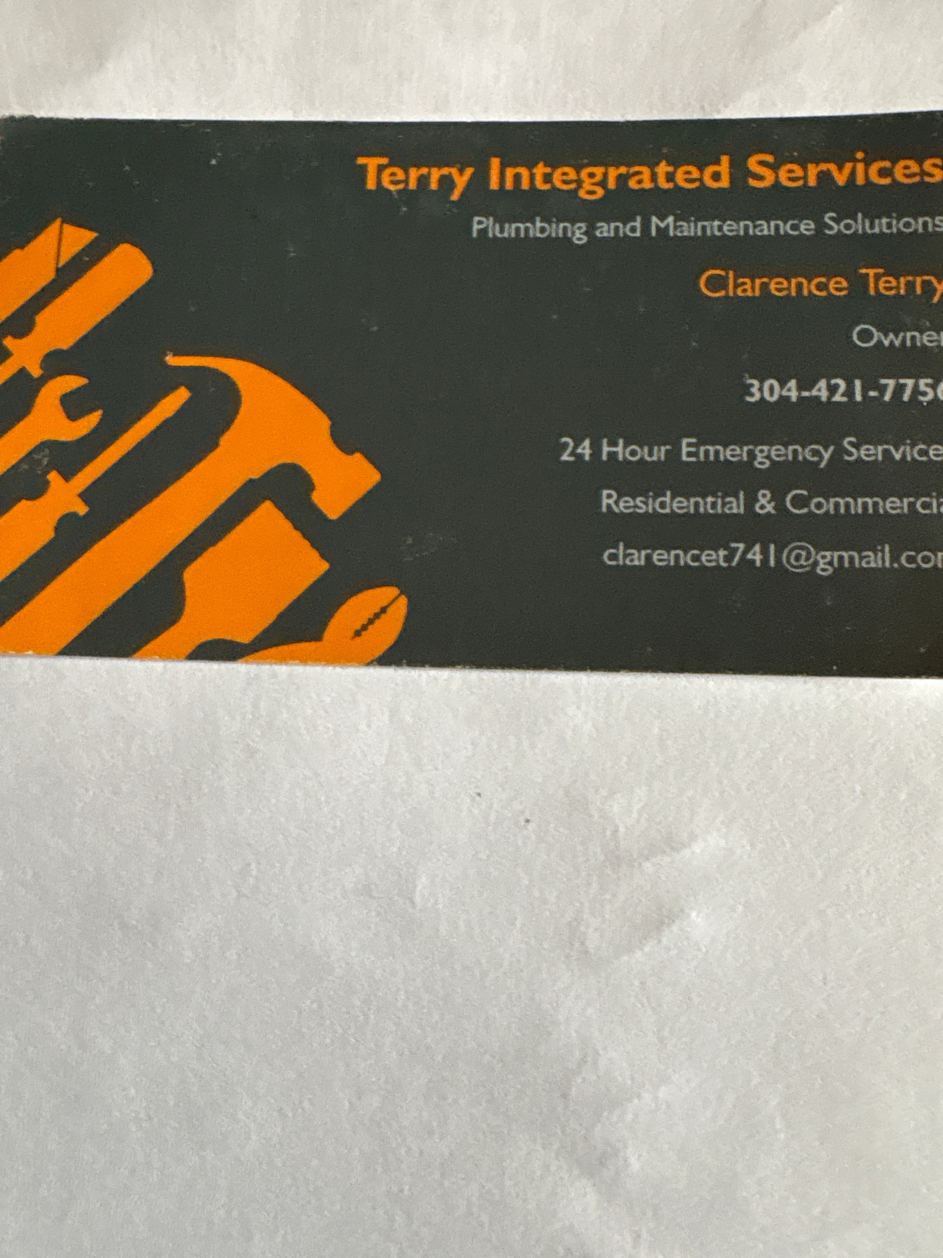 Terry Integrated Services Logo