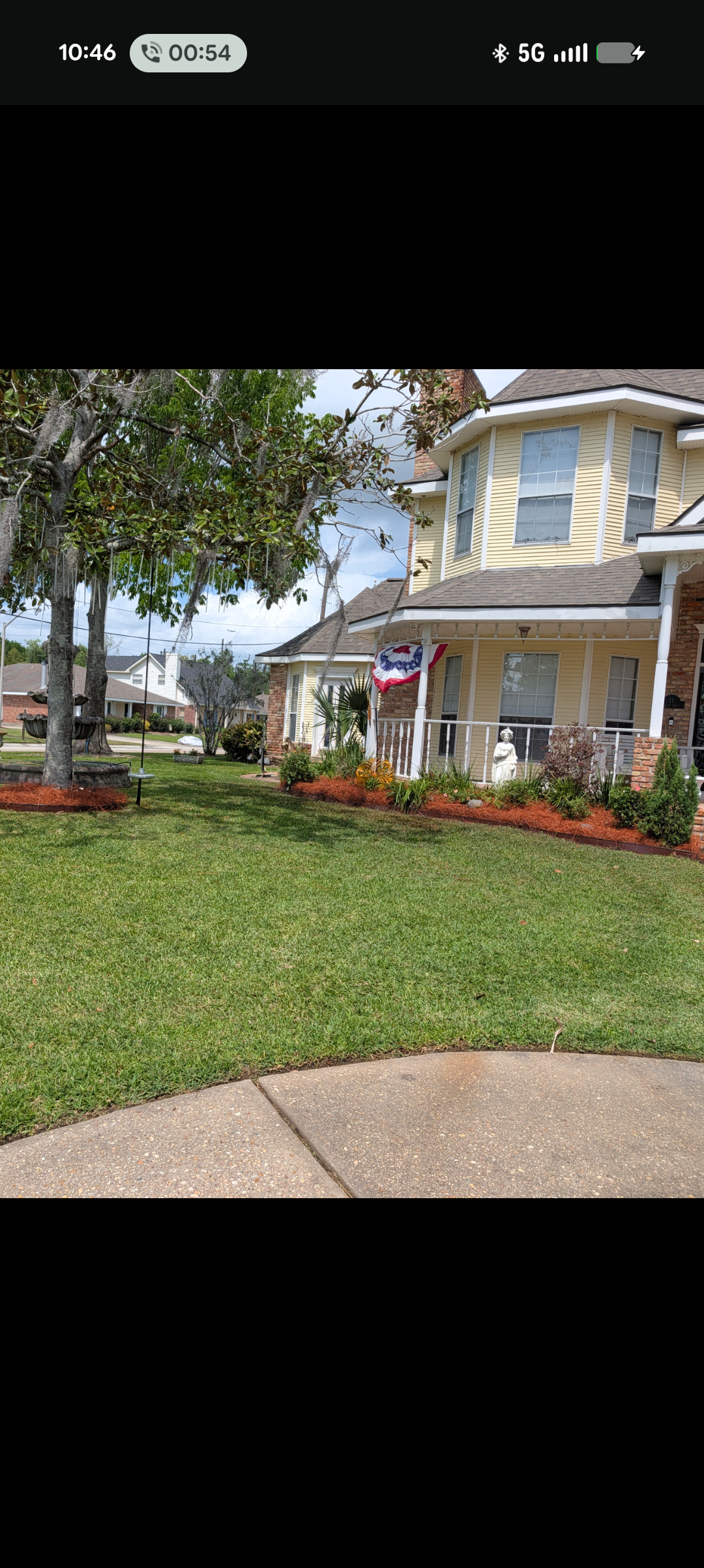 Tree Line Design & Landscape, LLC Logo