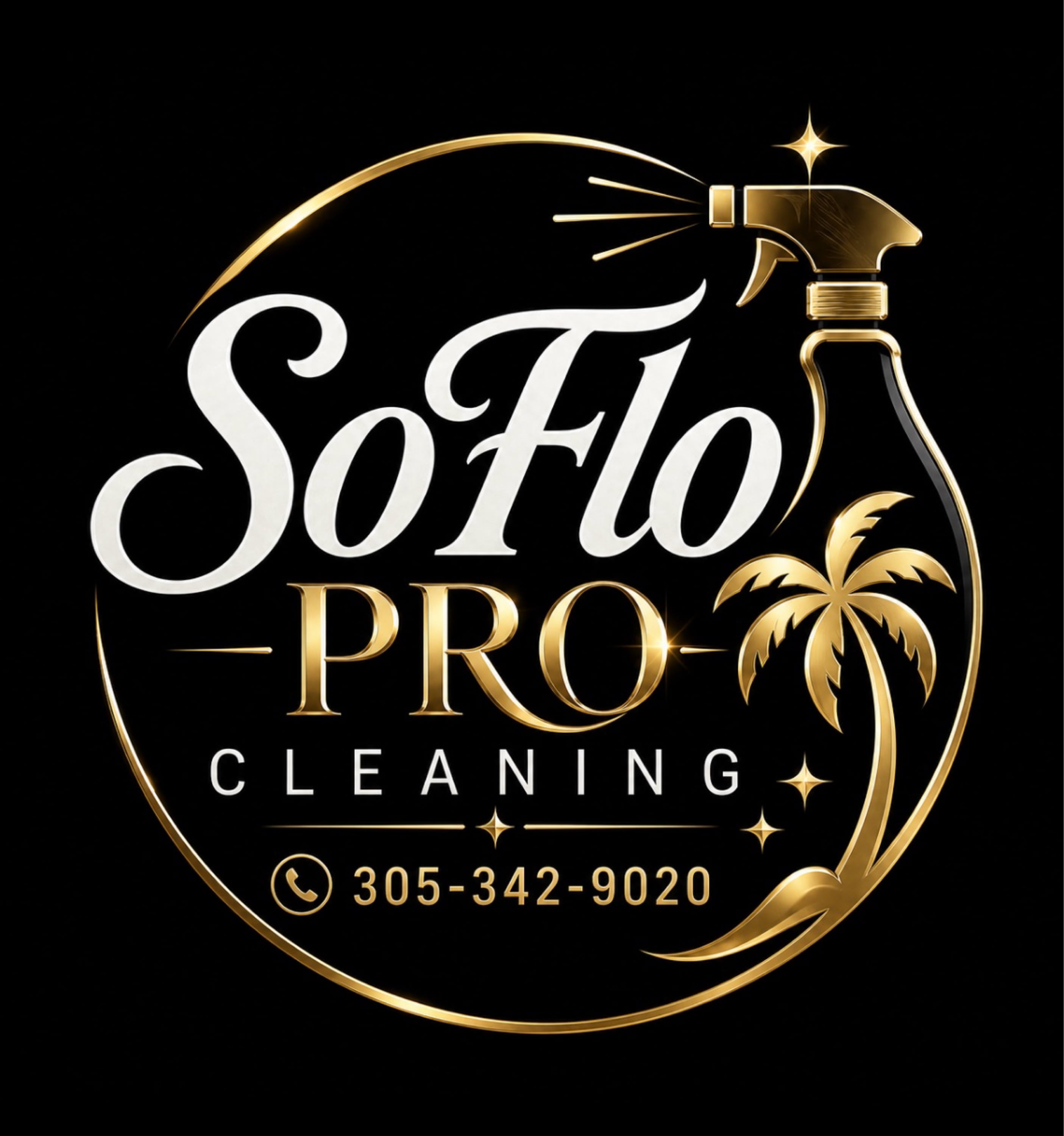 SoFlo Pro Cleaning Logo