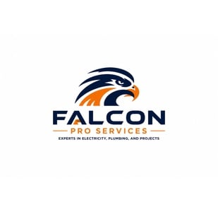 US Falcon Logo