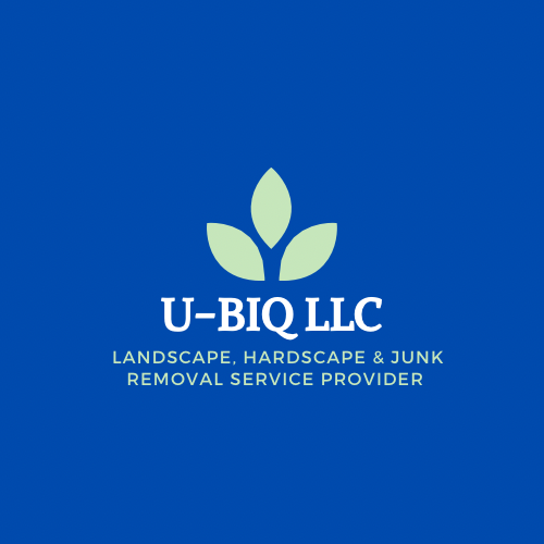 U-BIQ LLC Logo