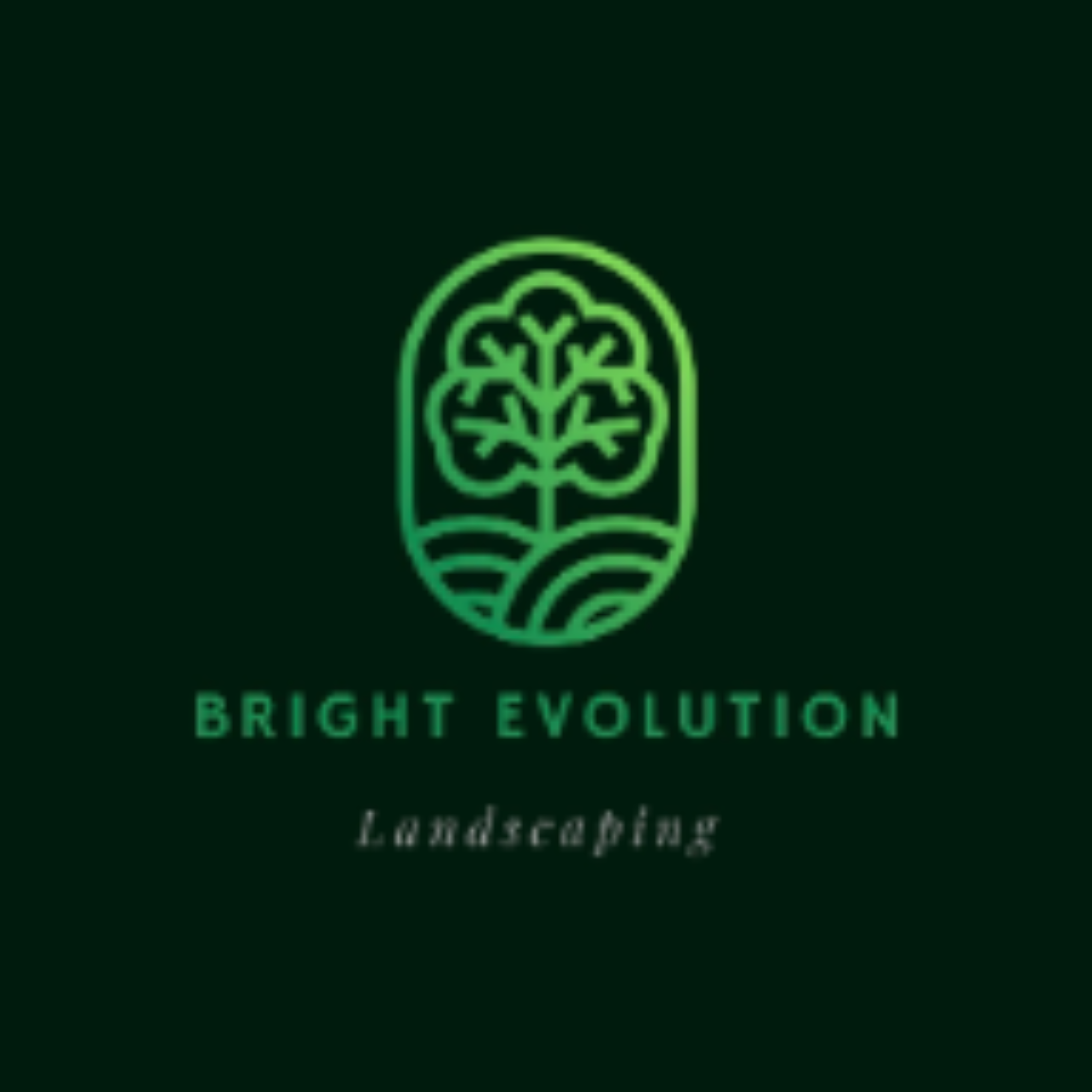 BRIGHT EVOLUTION LLC Logo