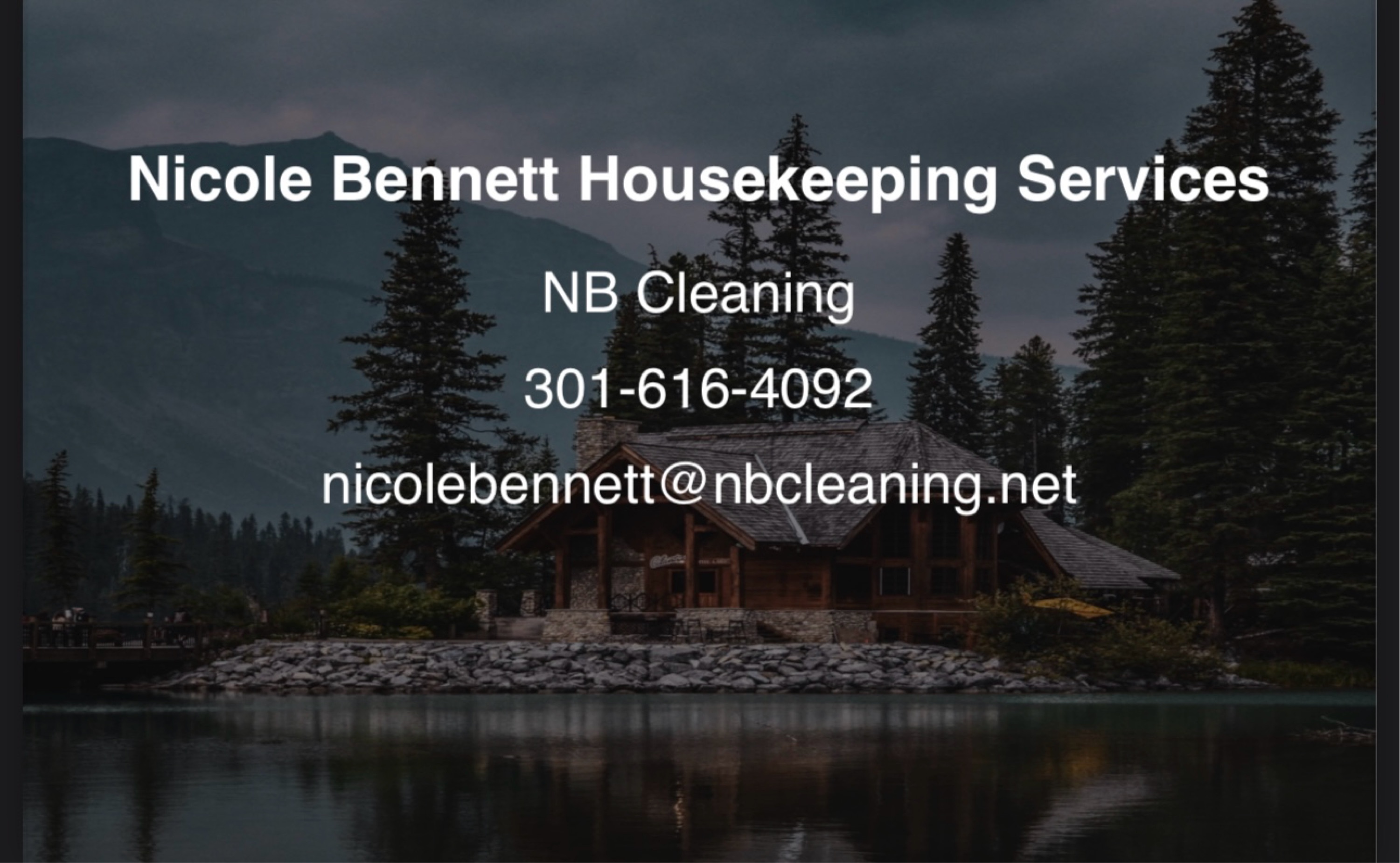 NB Cleaning Logo