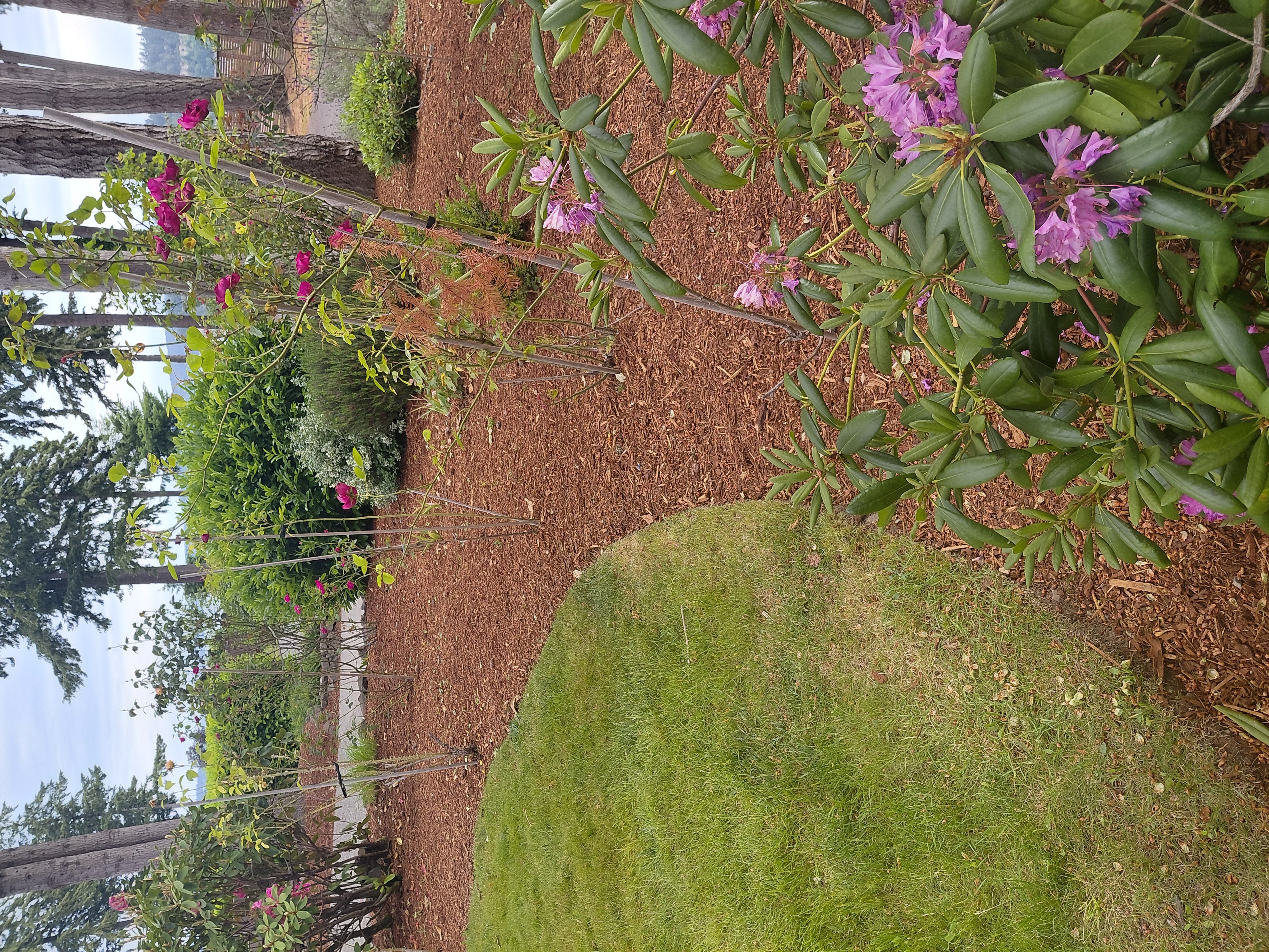 C PABLO LANDSCAPING LLC Logo