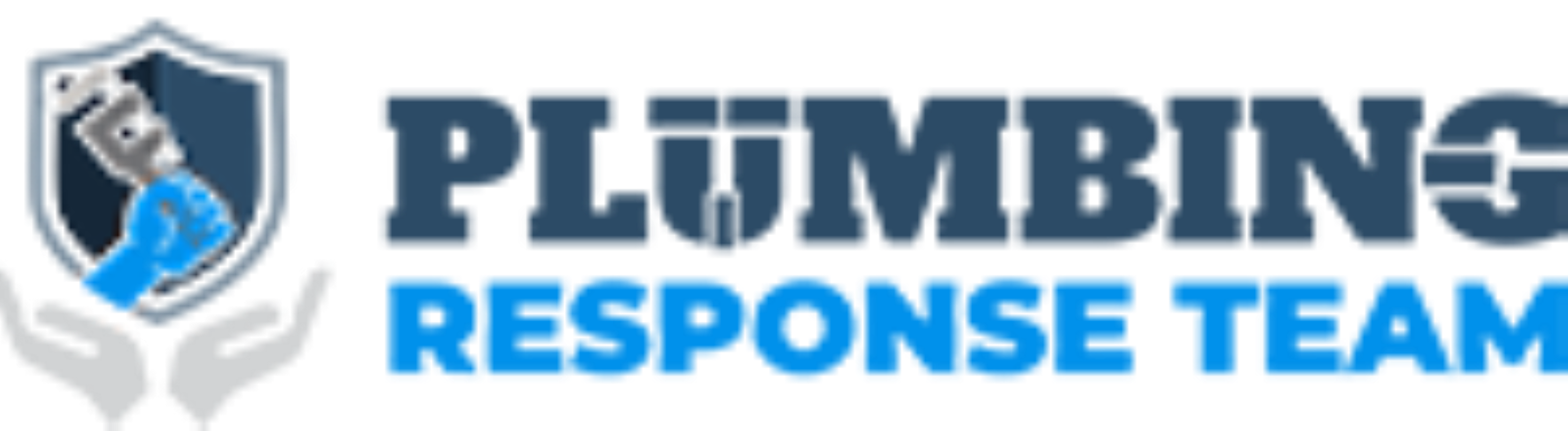 George L. Roma Logo