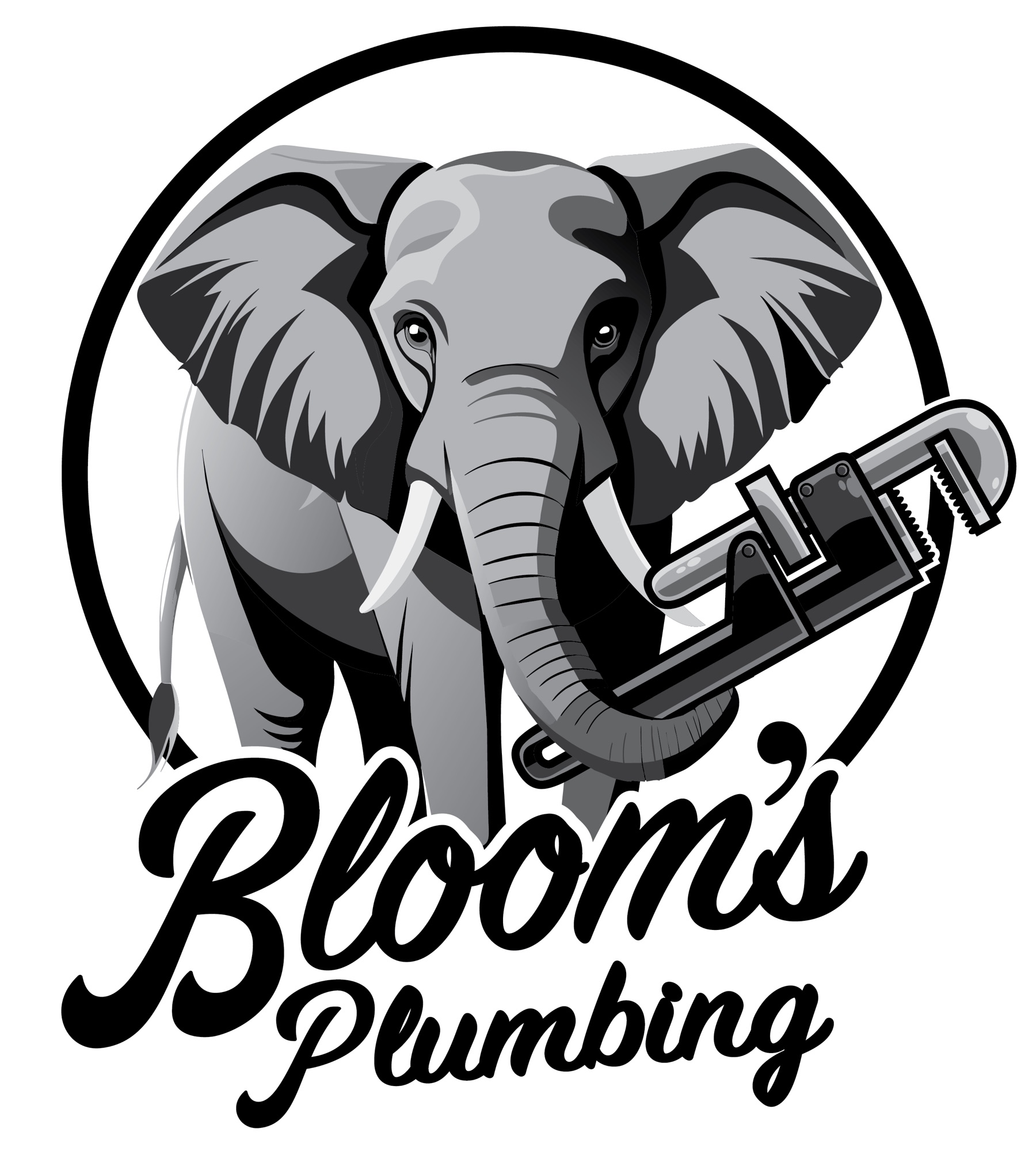 Blooms Plumbing Logo