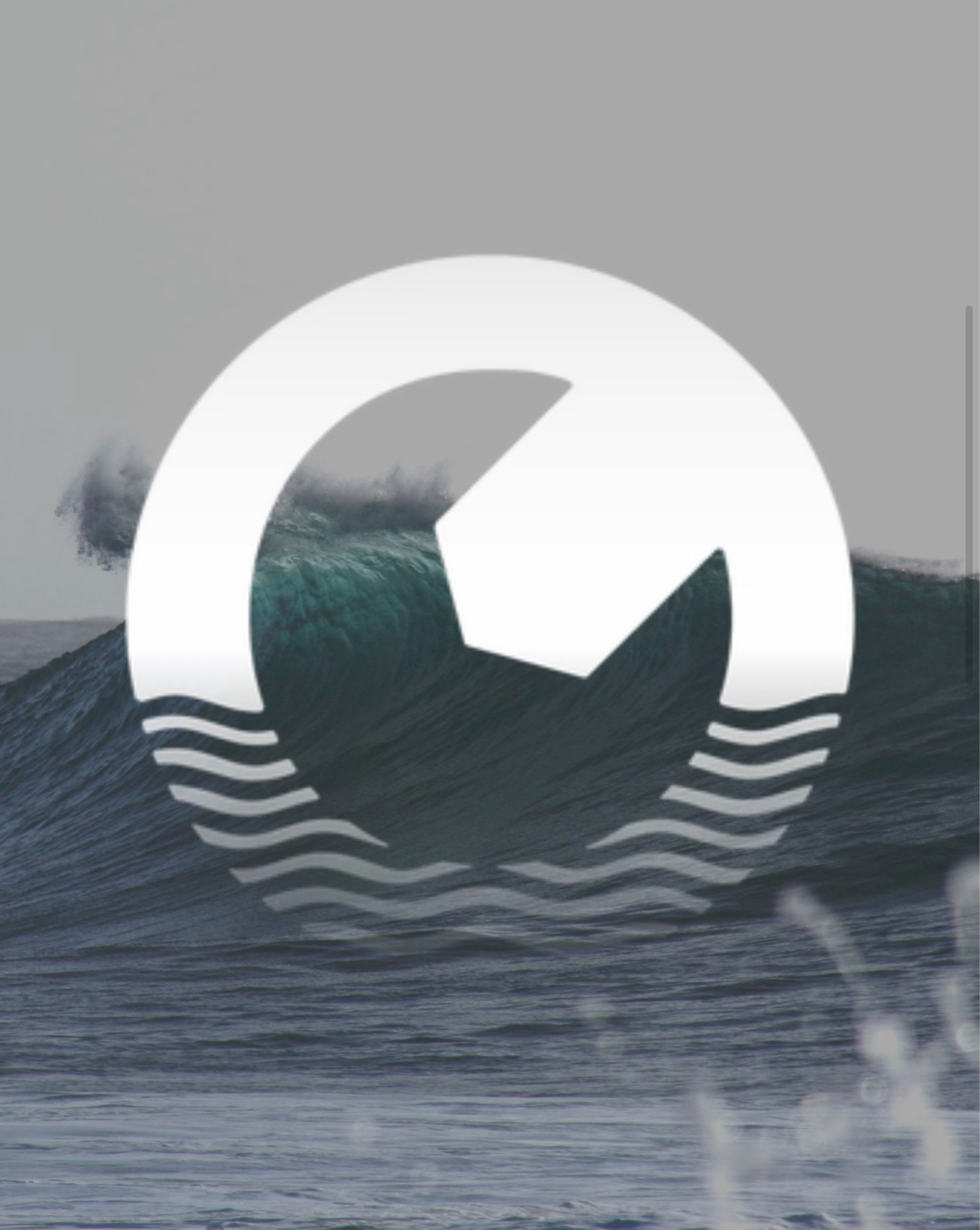 Portus Services Logo