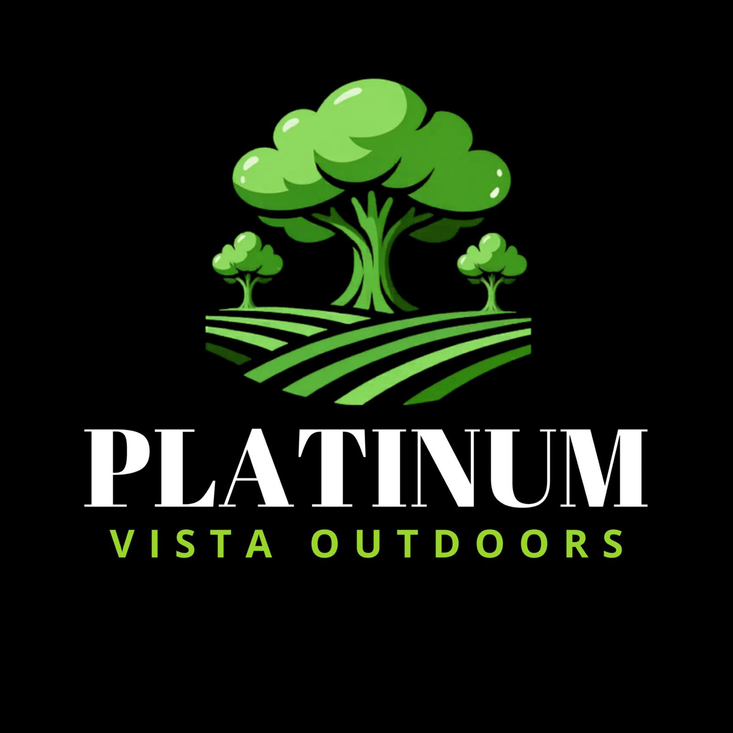 Platinum Visa Outdoors Logo