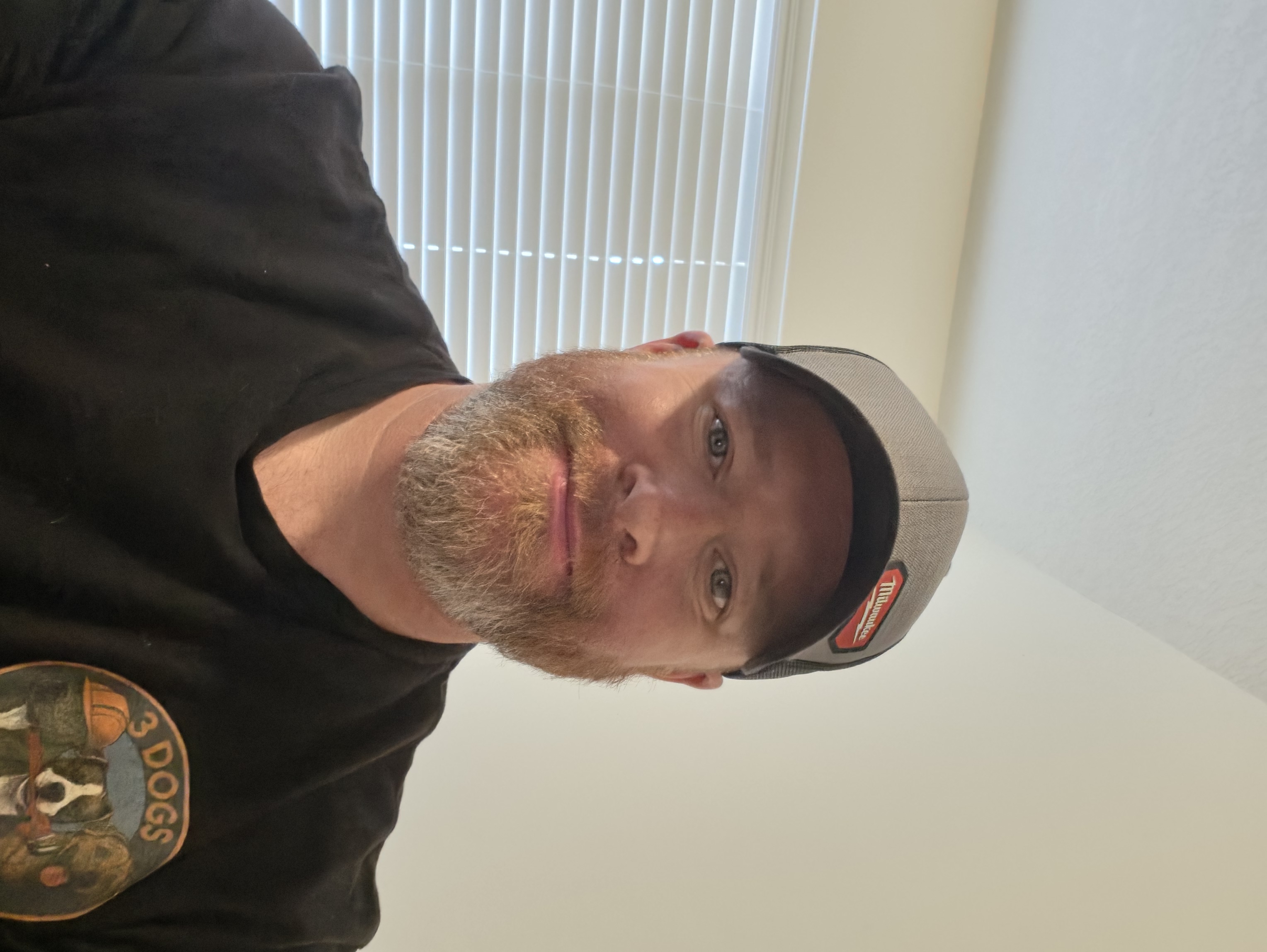 3 Dogs Plumbing LLC Logo