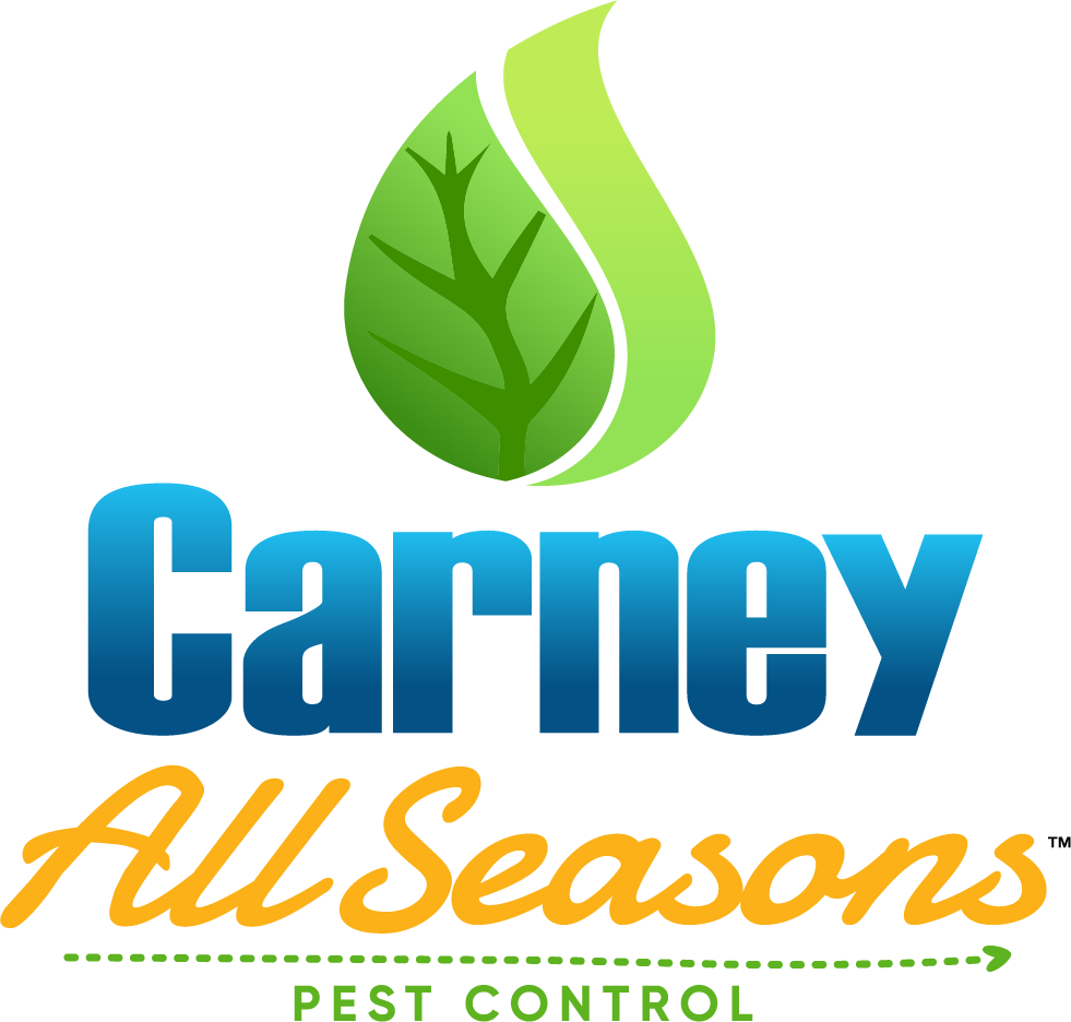 Carney All Seasons, LLC Logo
