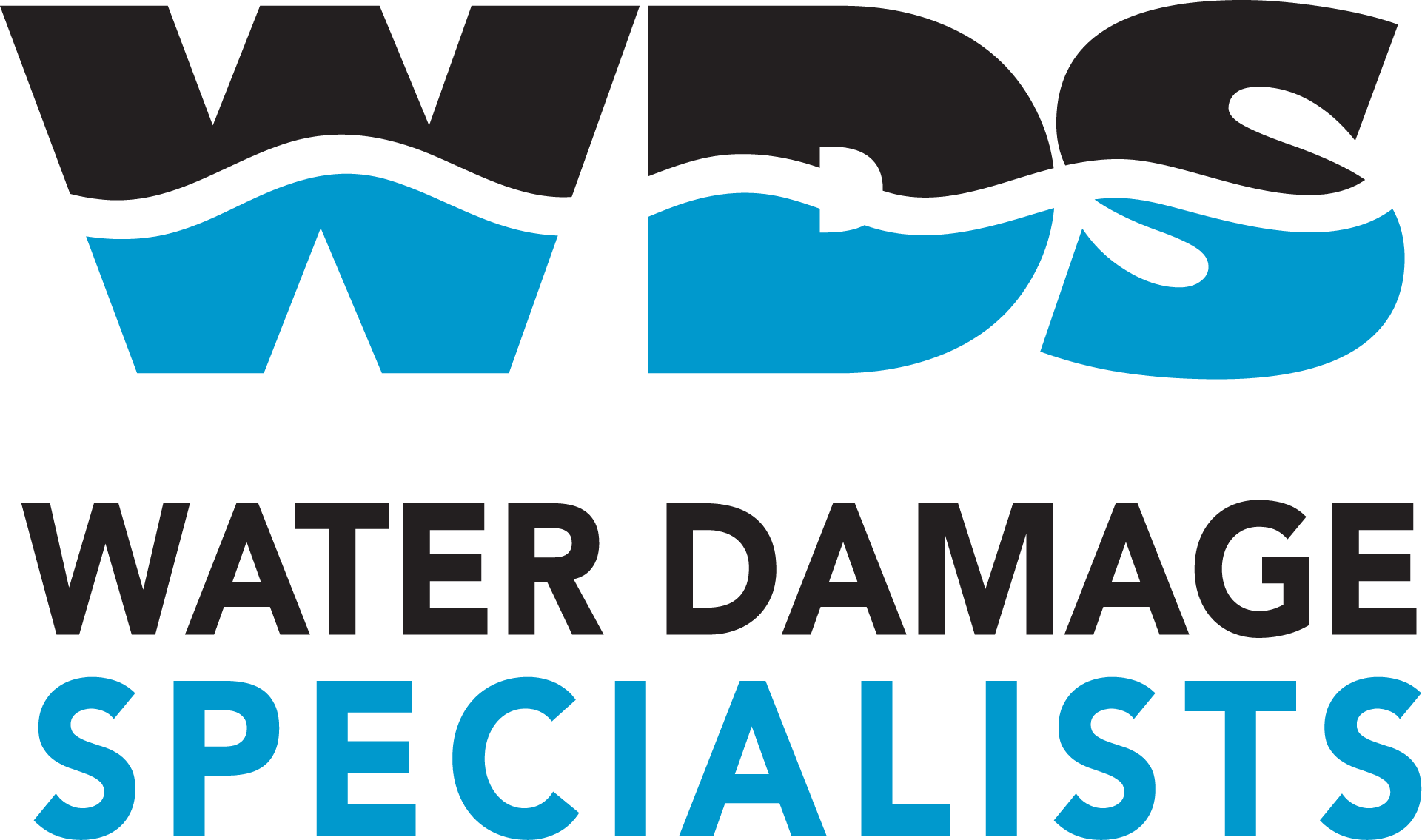 Water Damage Specialists, Inc. Logo