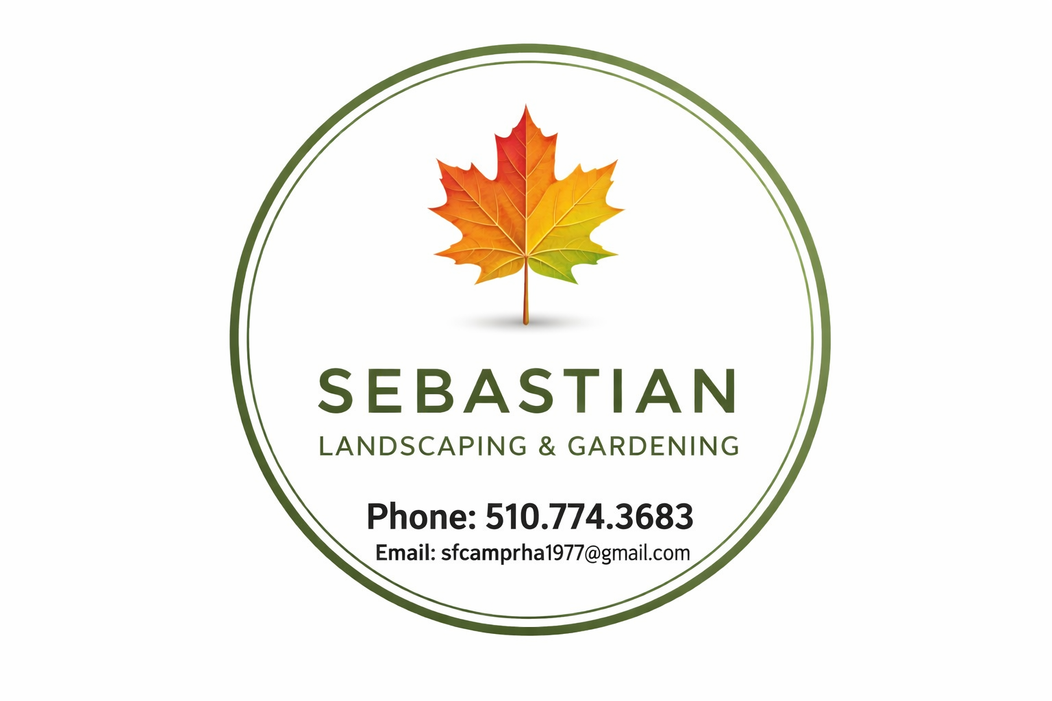 THS SERVICE Logo