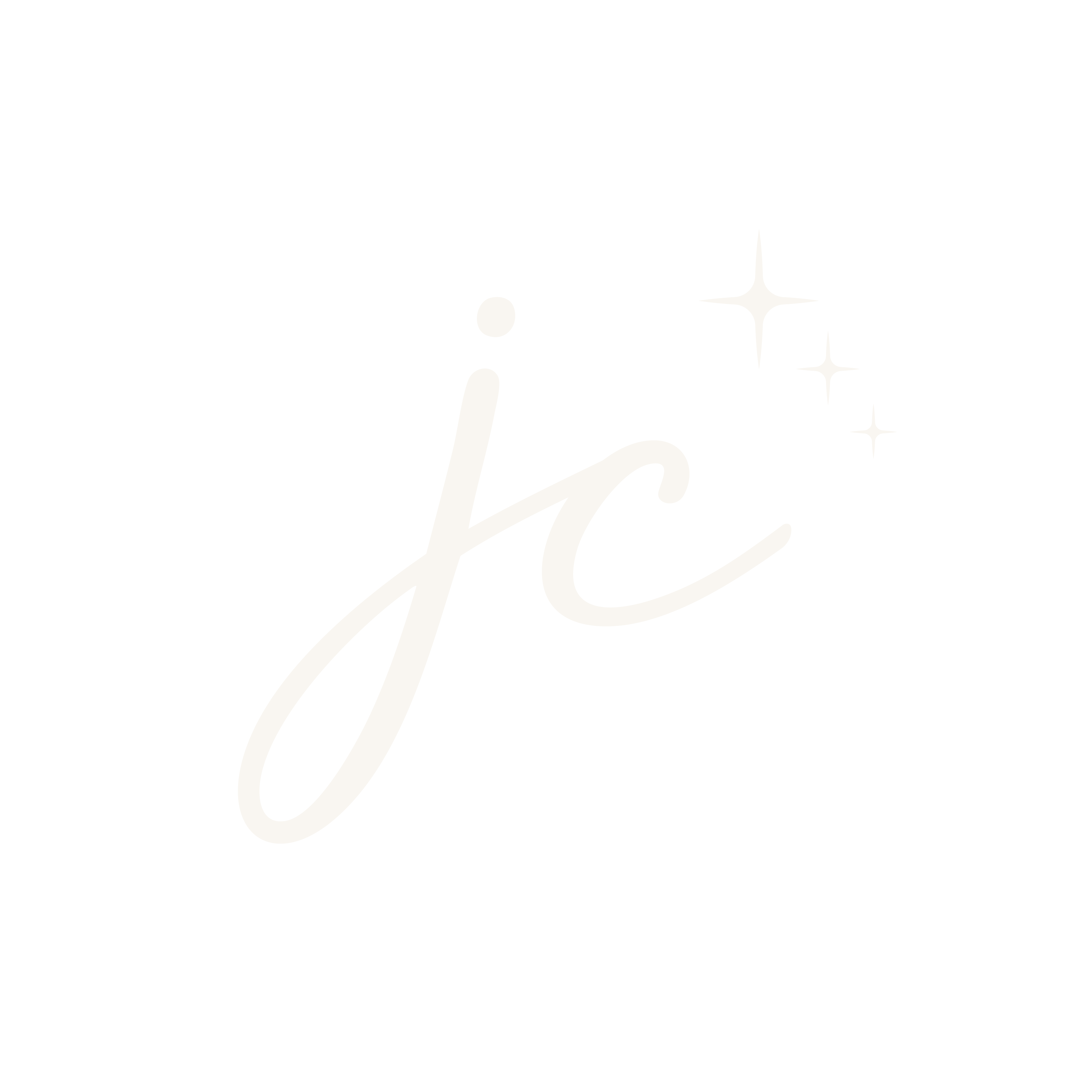 Janine Clean LLC Logo