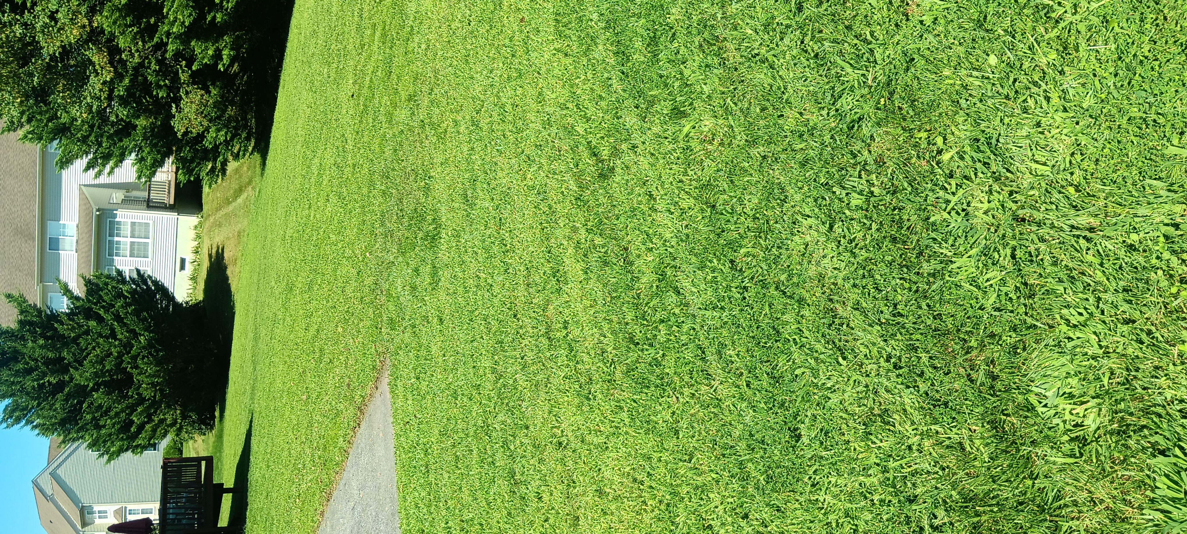 Gregory lawncare Logo