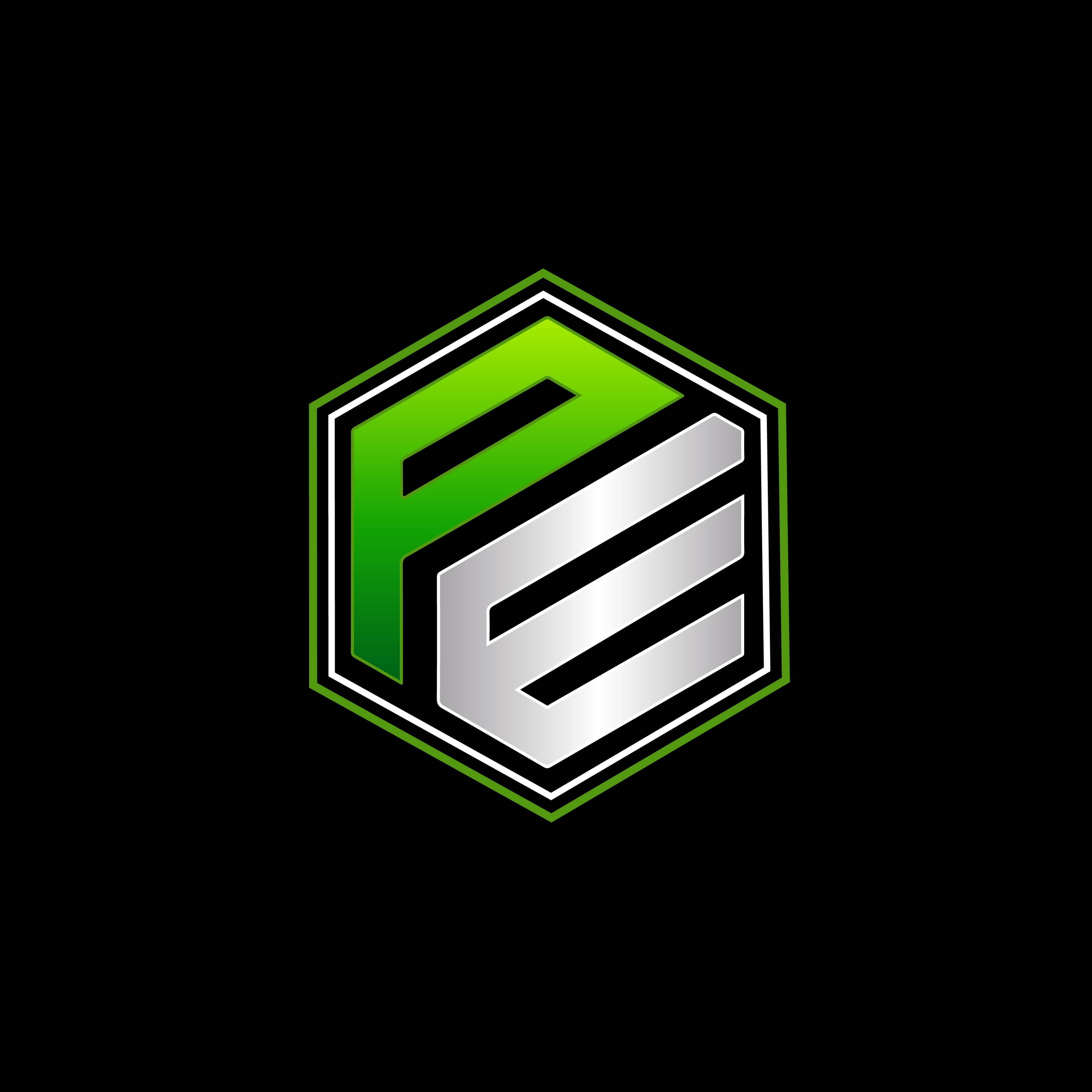 Paragon Electric Services LLC Logo