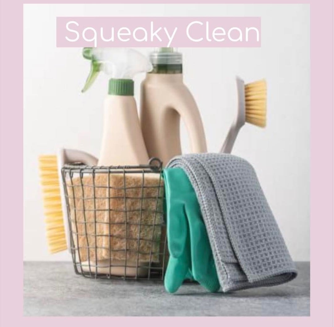 Squeaky Clean Logo