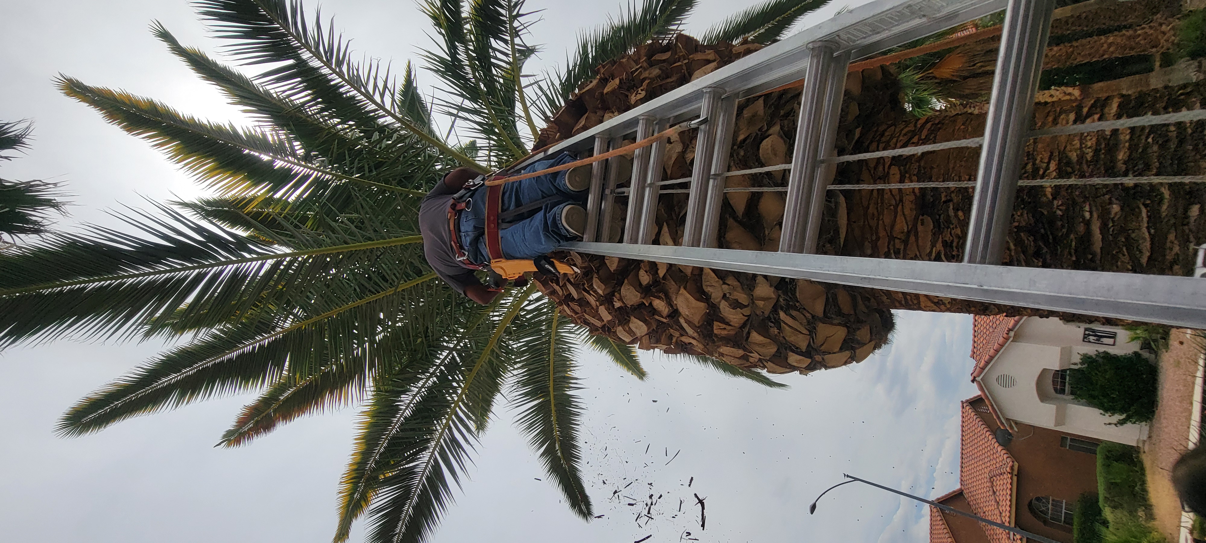 Gomez Tree Service Landscaping Logo