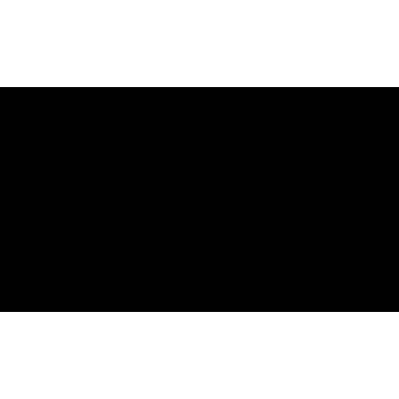The Cleaning Authority - East Omaha Logo