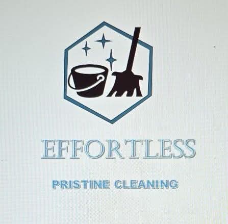 Effortless Pristine Cleaning Logo