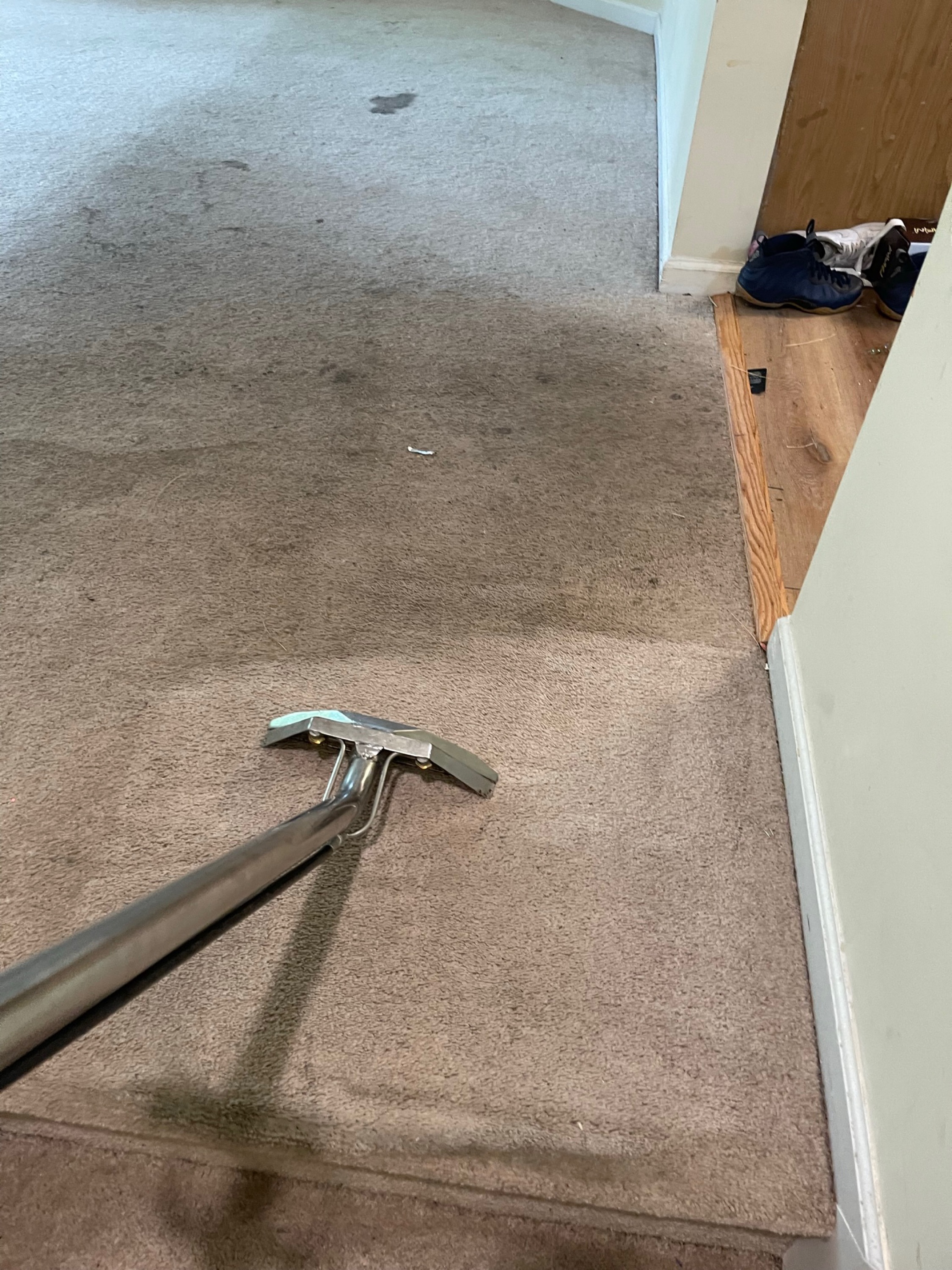 Dominion Carpet Cleaning Service Logo