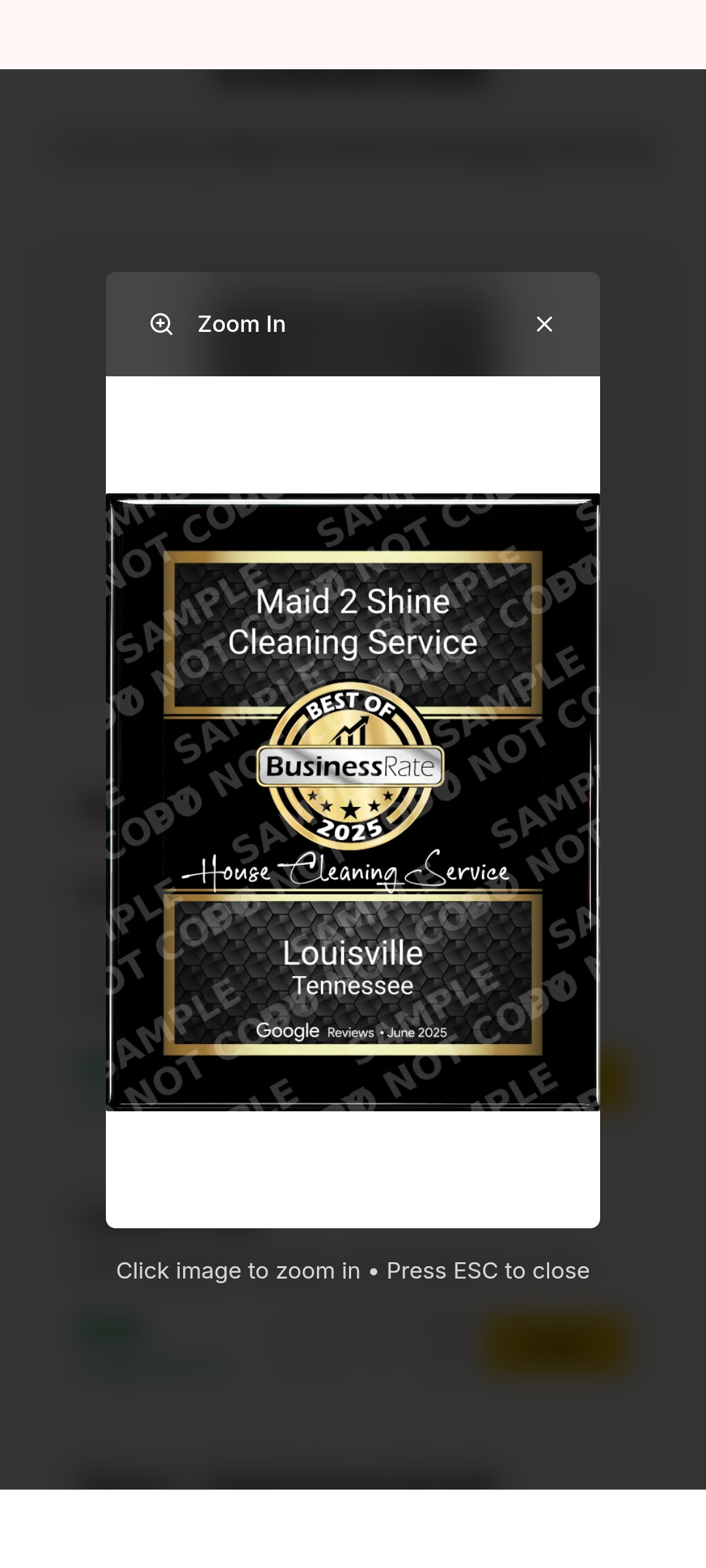 Maid2shine Logo